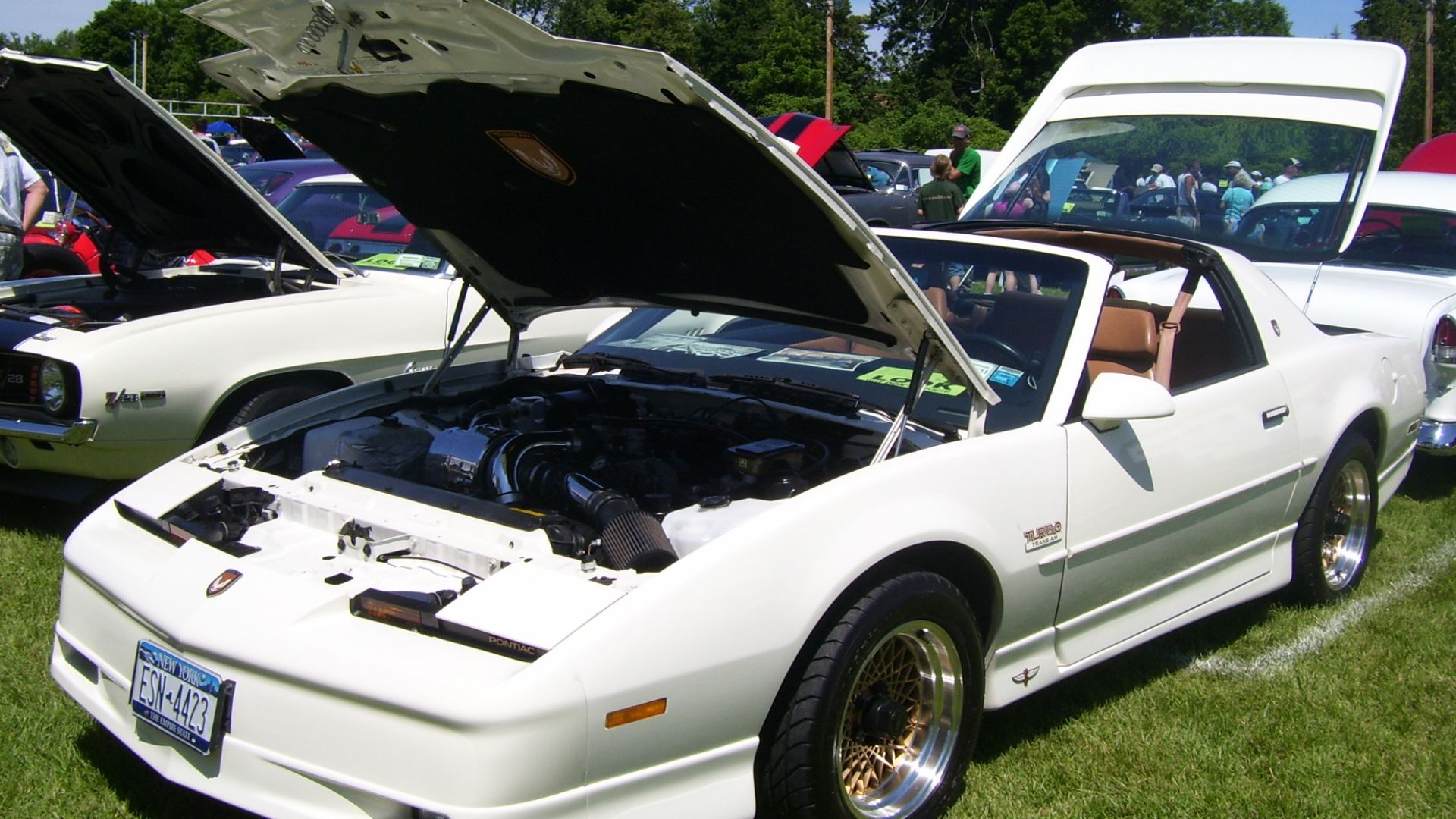 File:20th Anniversary Turbo Trans Am.JPG