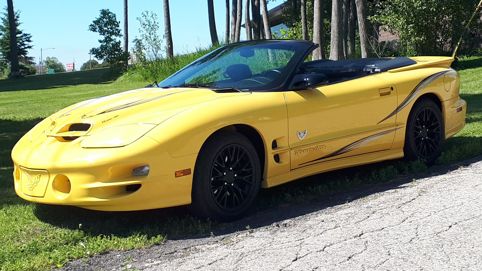 File:Trans Am 06-29-2019 1.jpg