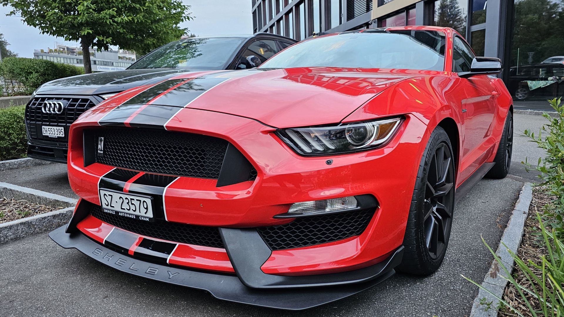 File:Shelby Mustang GT350 S550 Race Red (2).jpg
