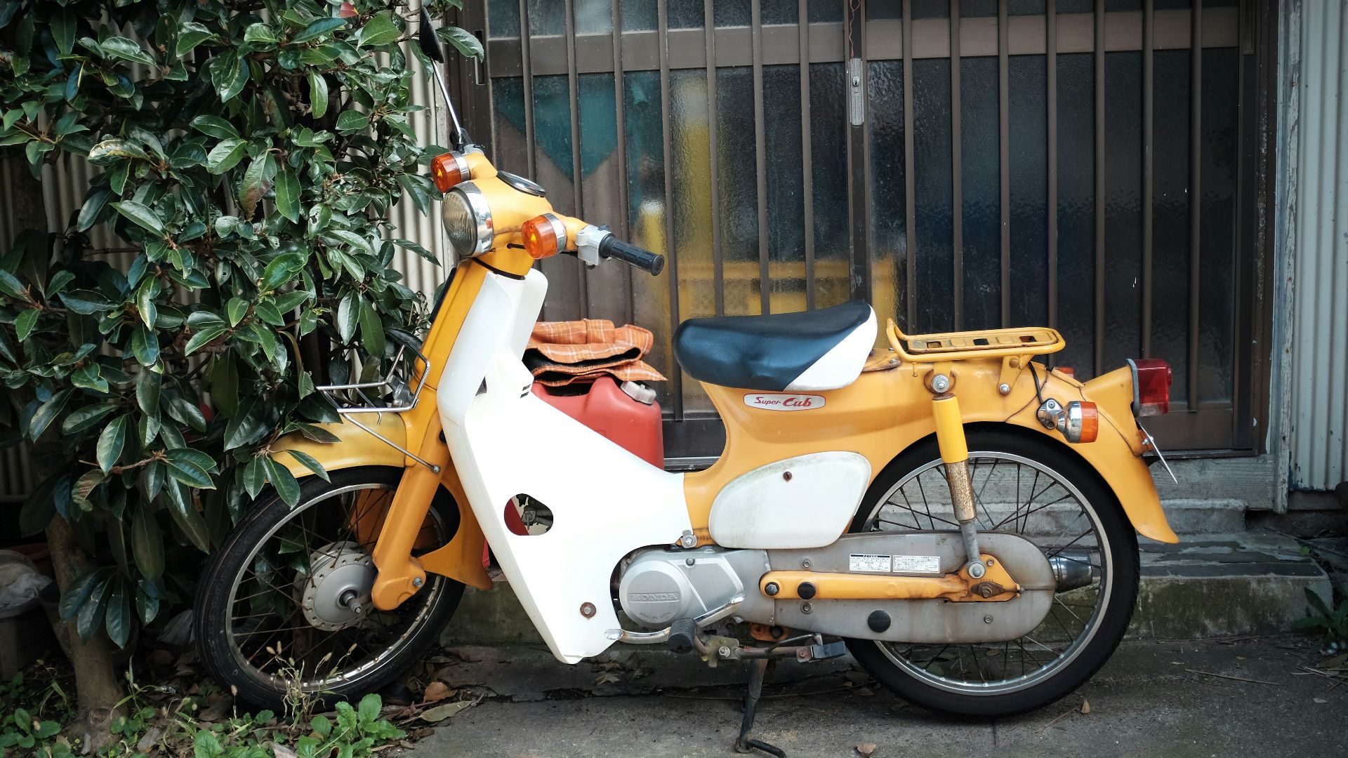 orange and white motor scooter parked beside green plants