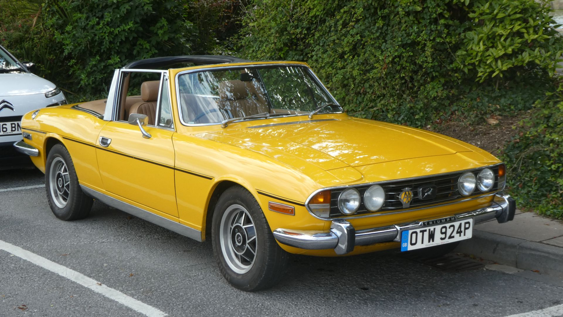 Spotted out and about.