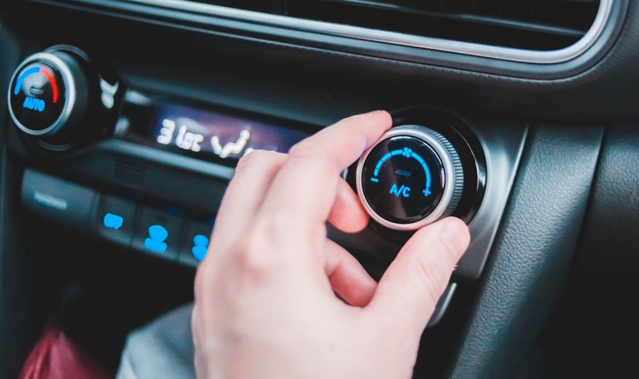 Crop man using controller in car