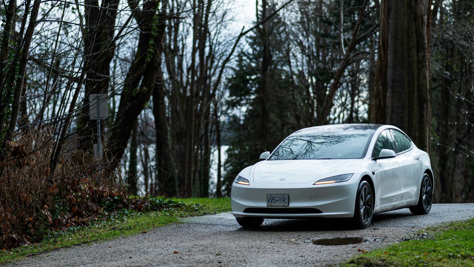 A white sedan drives on a wet road through trees.