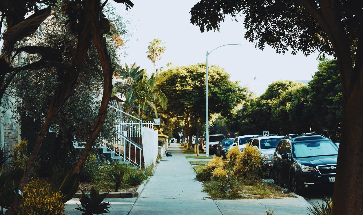 Charming Los Angeles Neighborhood Street Scene