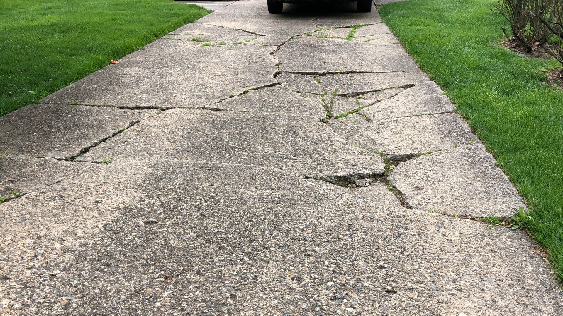60-year old concrete driveway severely cracked and buckled along Aquetong Lane in the Mountainview section of Ewing Township, Mercer County, New Jersey