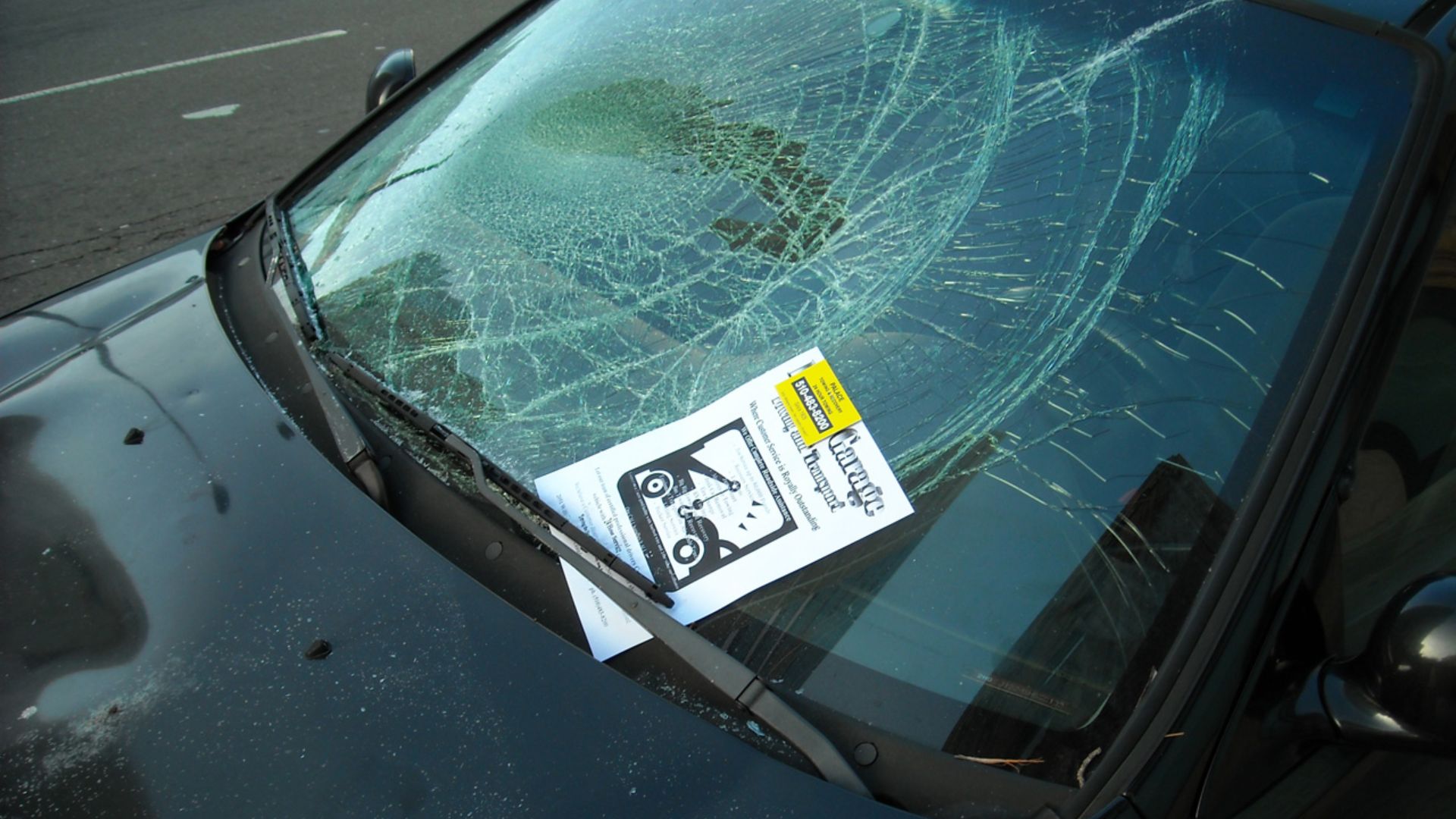 Another smashed car after the unrest in Oakland. I counted about a dozen on the short walk to work.