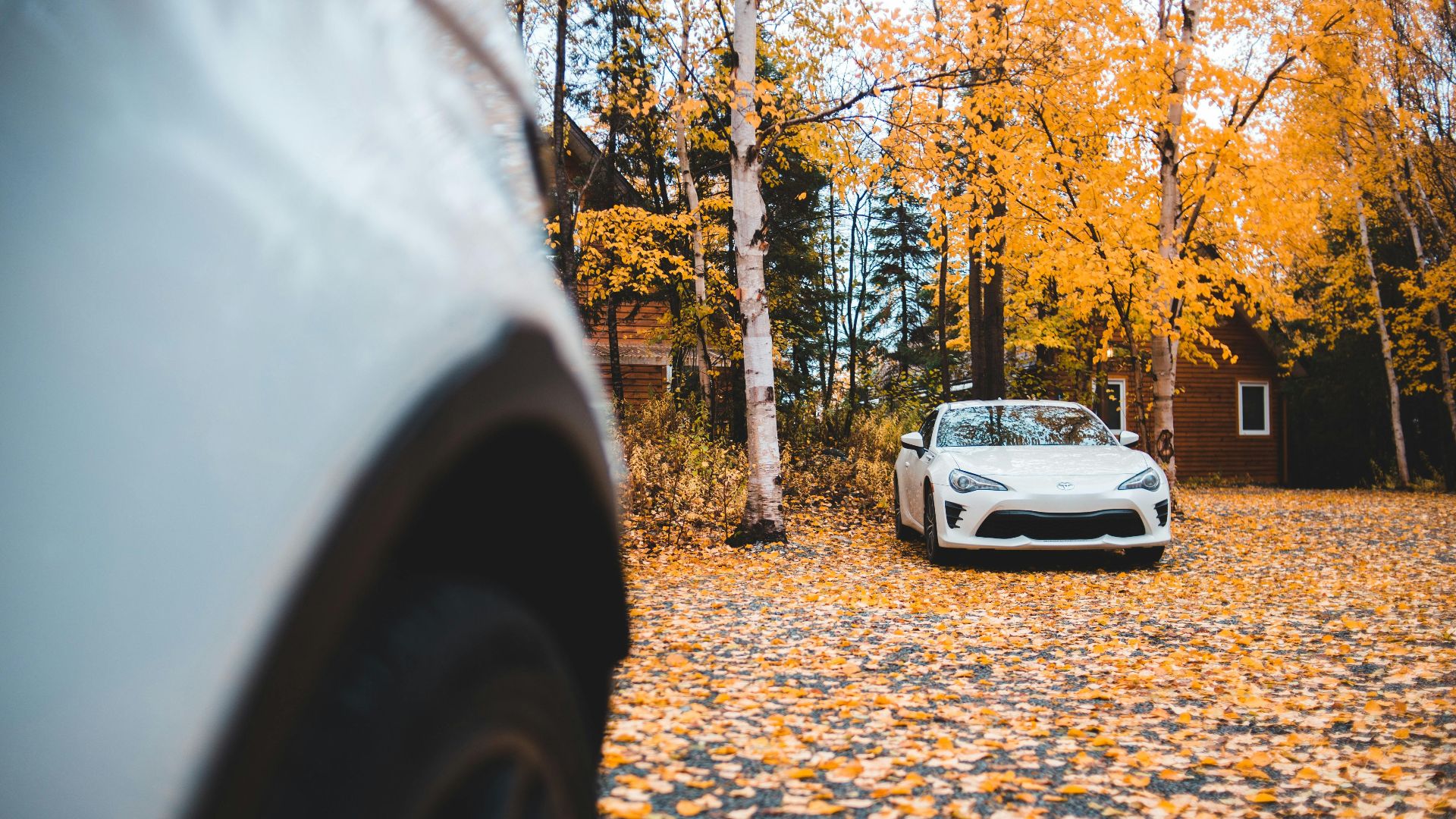 A luxury car parked in an autumn setting with colorful leaves and trees.