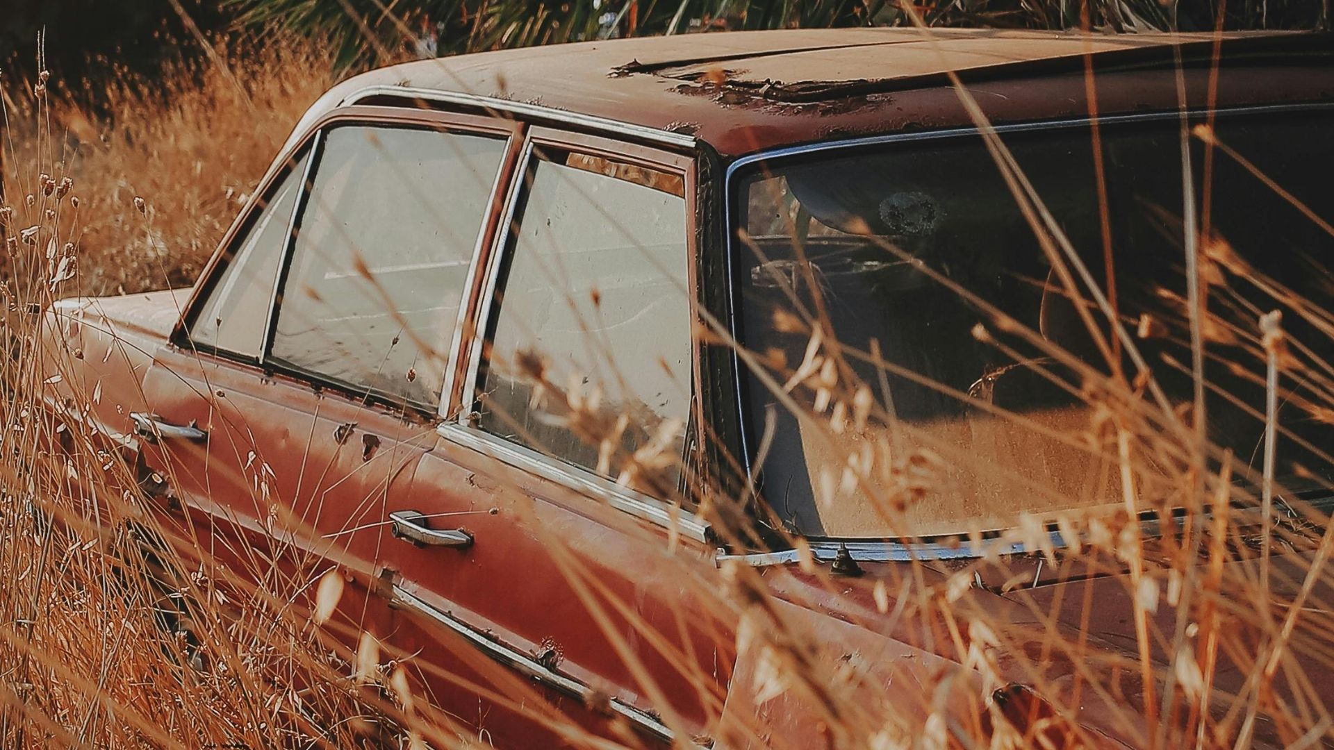 An abandoned classic car with visible rust, parked in a grassy field during sunset.