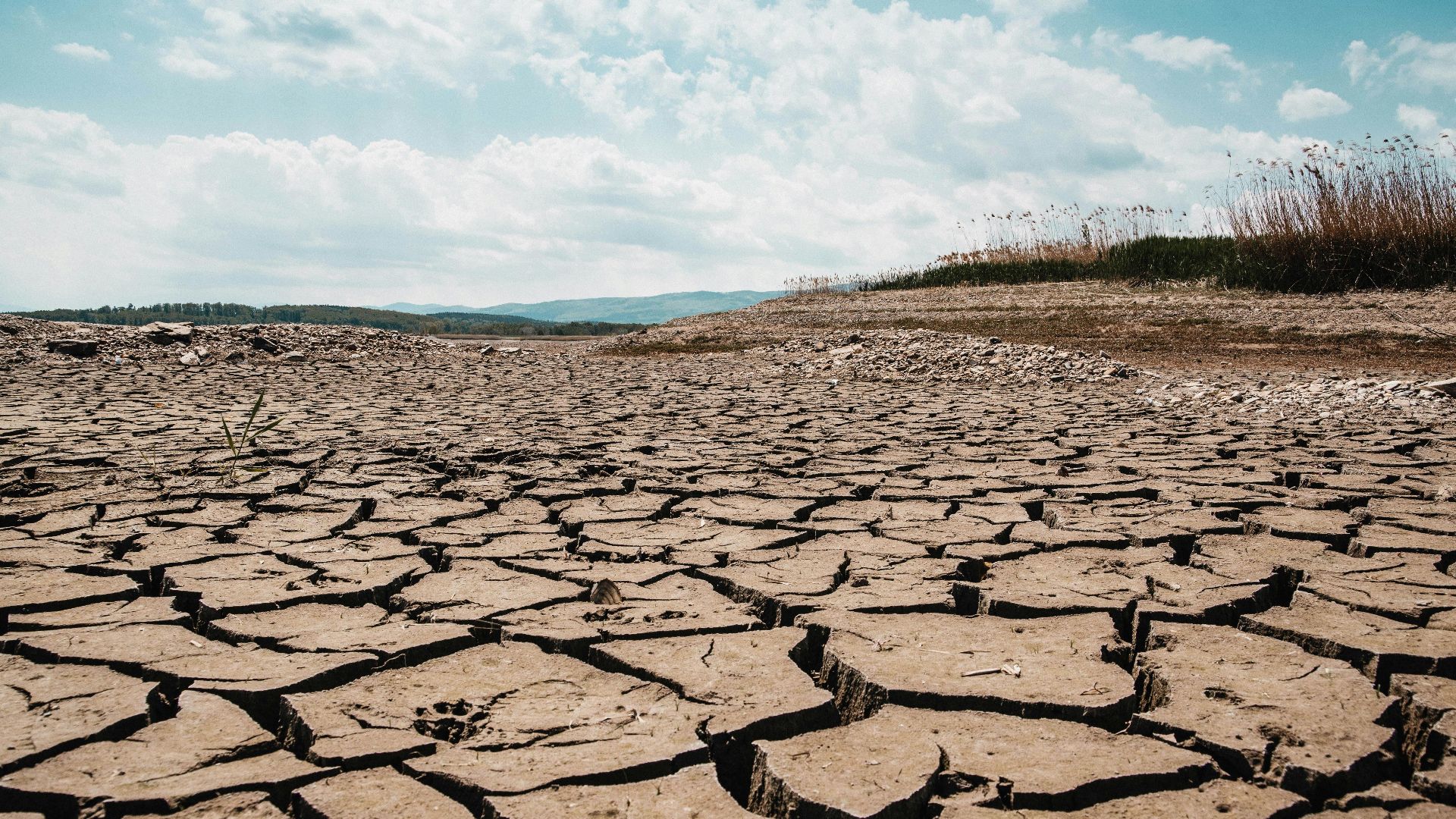 A stark landscape of cracked dry earth beneath a clear blue sky, depicting arid climate and drought.