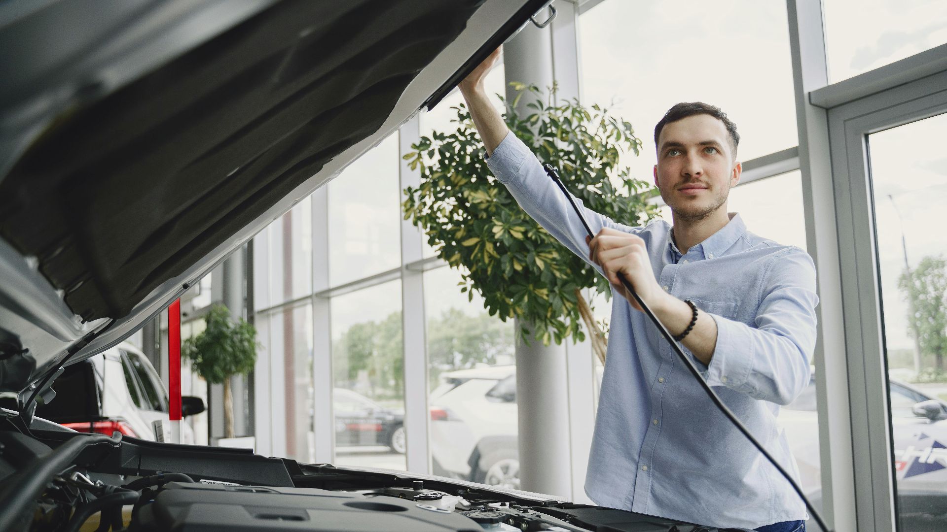 A man carefully checking a car engine in a bright, modern car showroom.