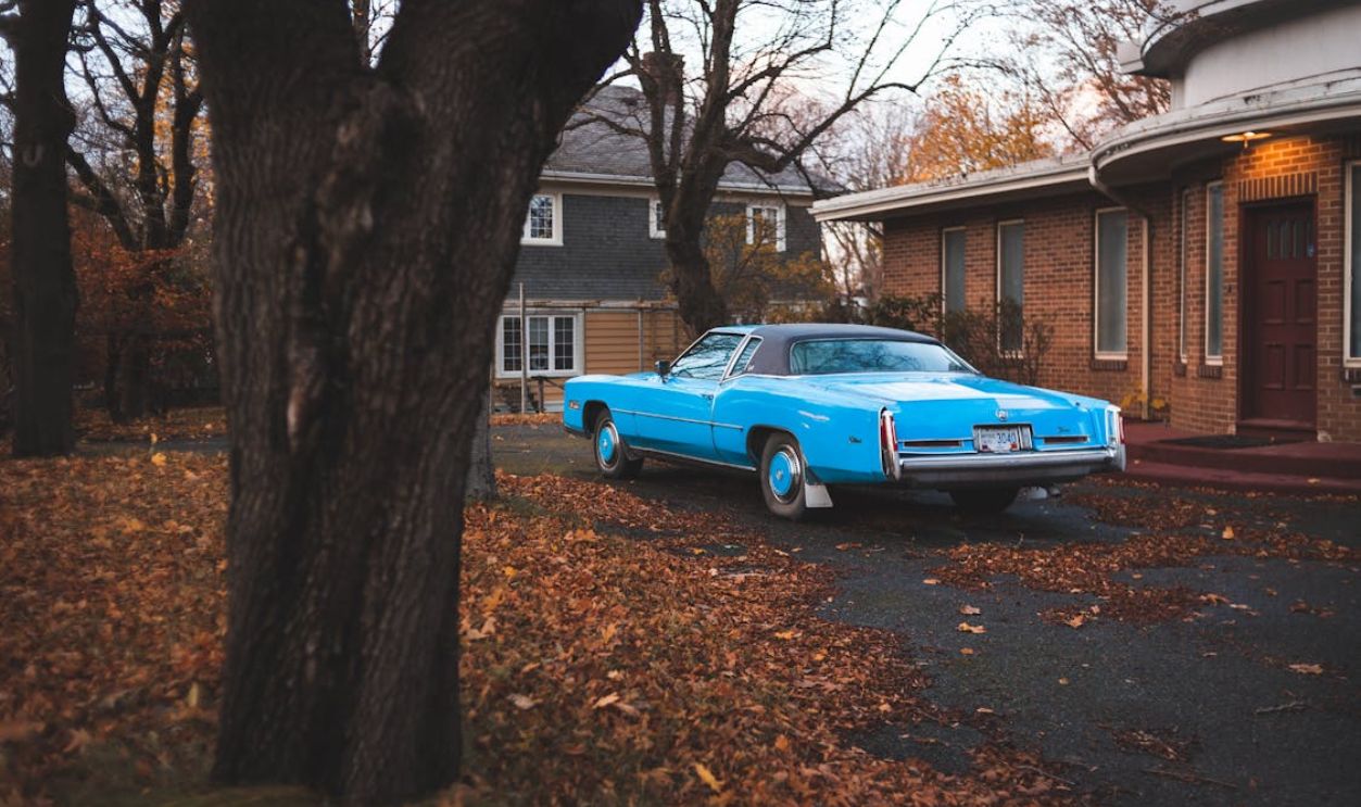 Blue Chevrolet Camaro Parked Beside Brown Tree