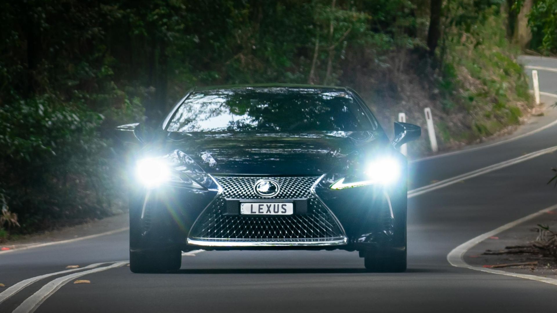 A sleek Lexus fastback coupe navigating a winding road in a lush Australian forest.