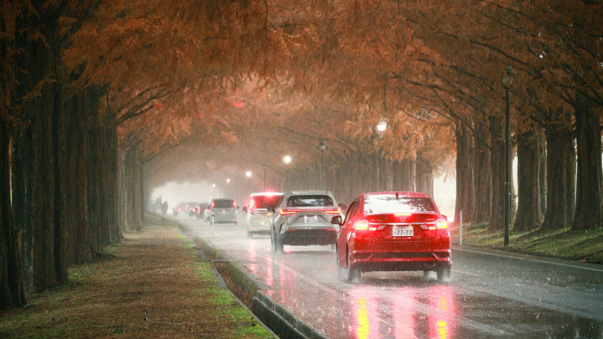 A bunch of cars that are sitting in the street