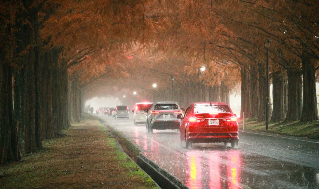 A bunch of cars that are sitting in the street Autumn season in Shiga, Japan