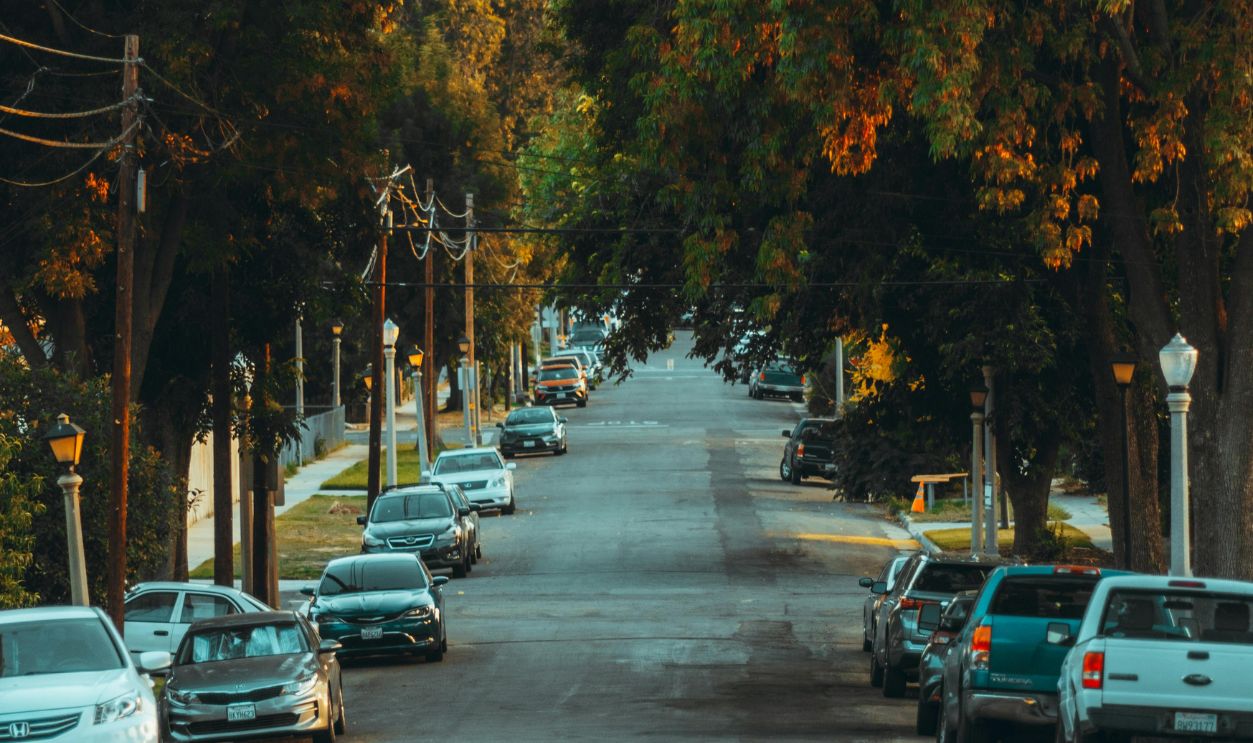 Idyllic Tree-Lined Residential Street at Sunset