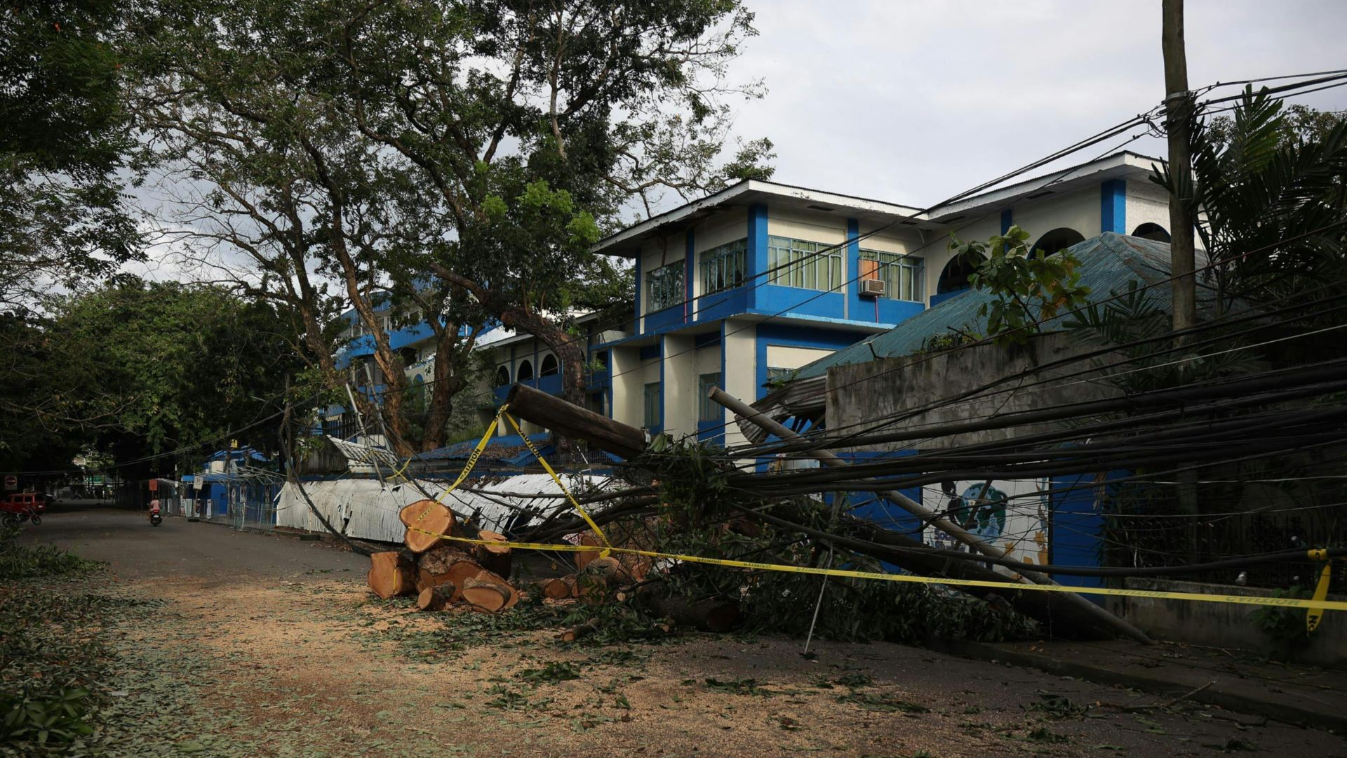 Fallen tree and power lines blocking a suburban street after a storm.