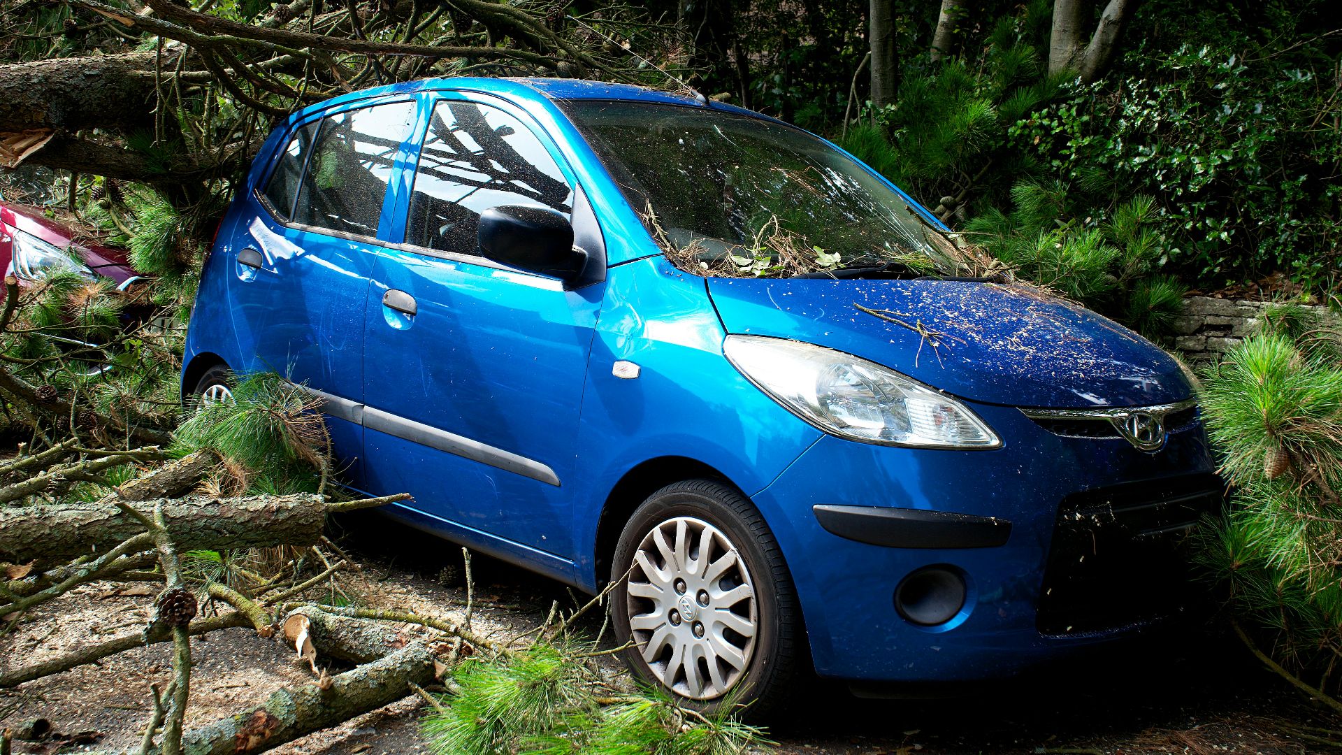 A blue car trapped under fallen trees in a post-storm scene in the UK.