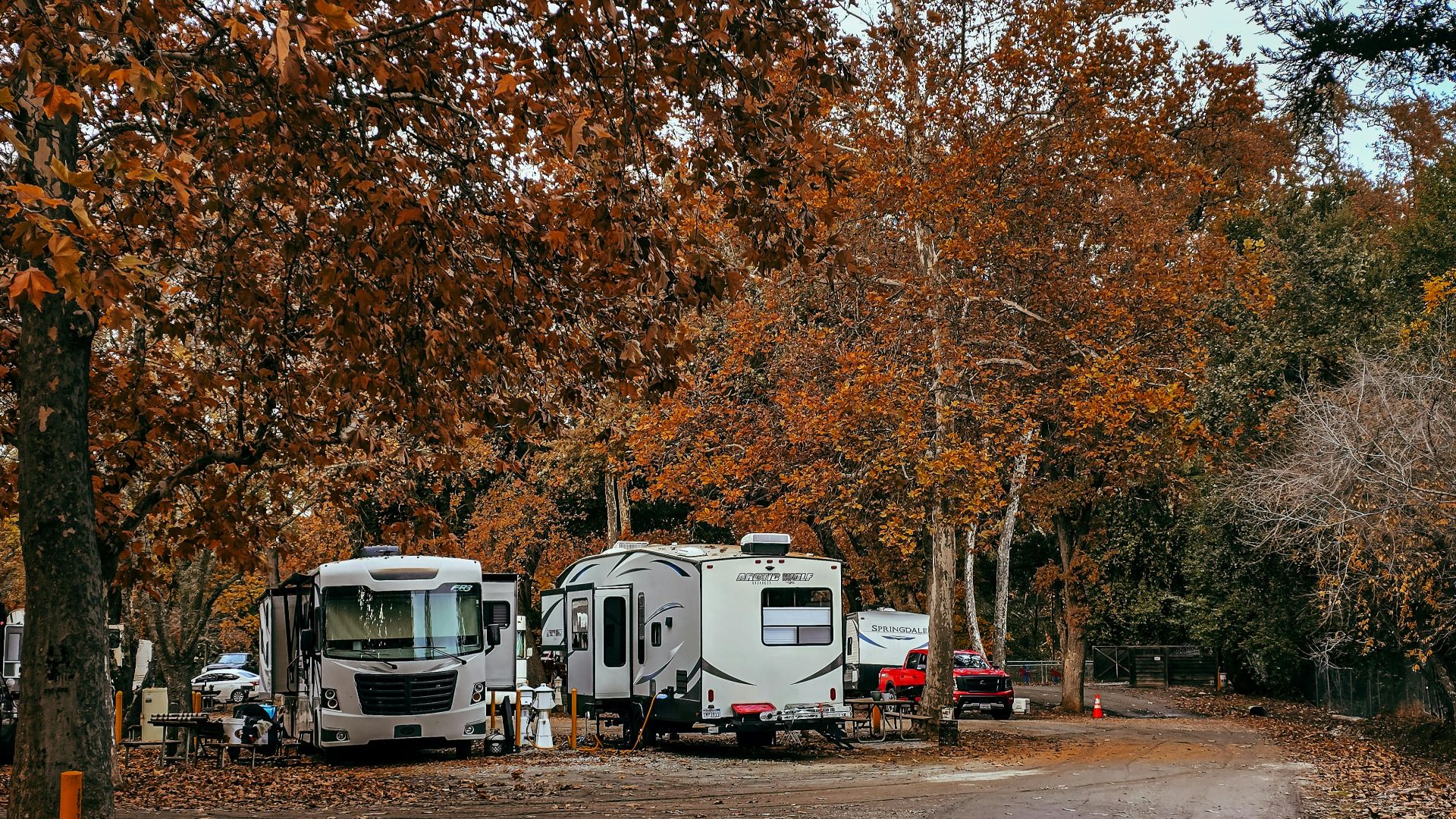 Cozy RV campsite surrounded by vibrant fall foliage in a serene forest.