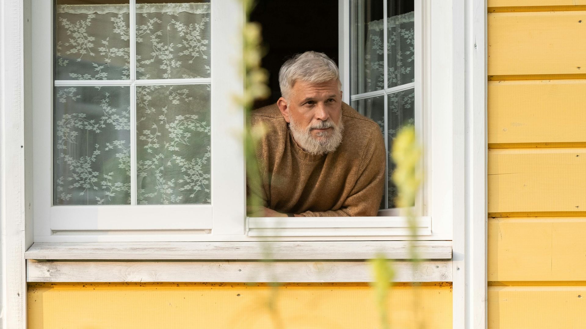 Senior man with gray hair and beard leaning out a window, surrounded by vibrant garden plants.