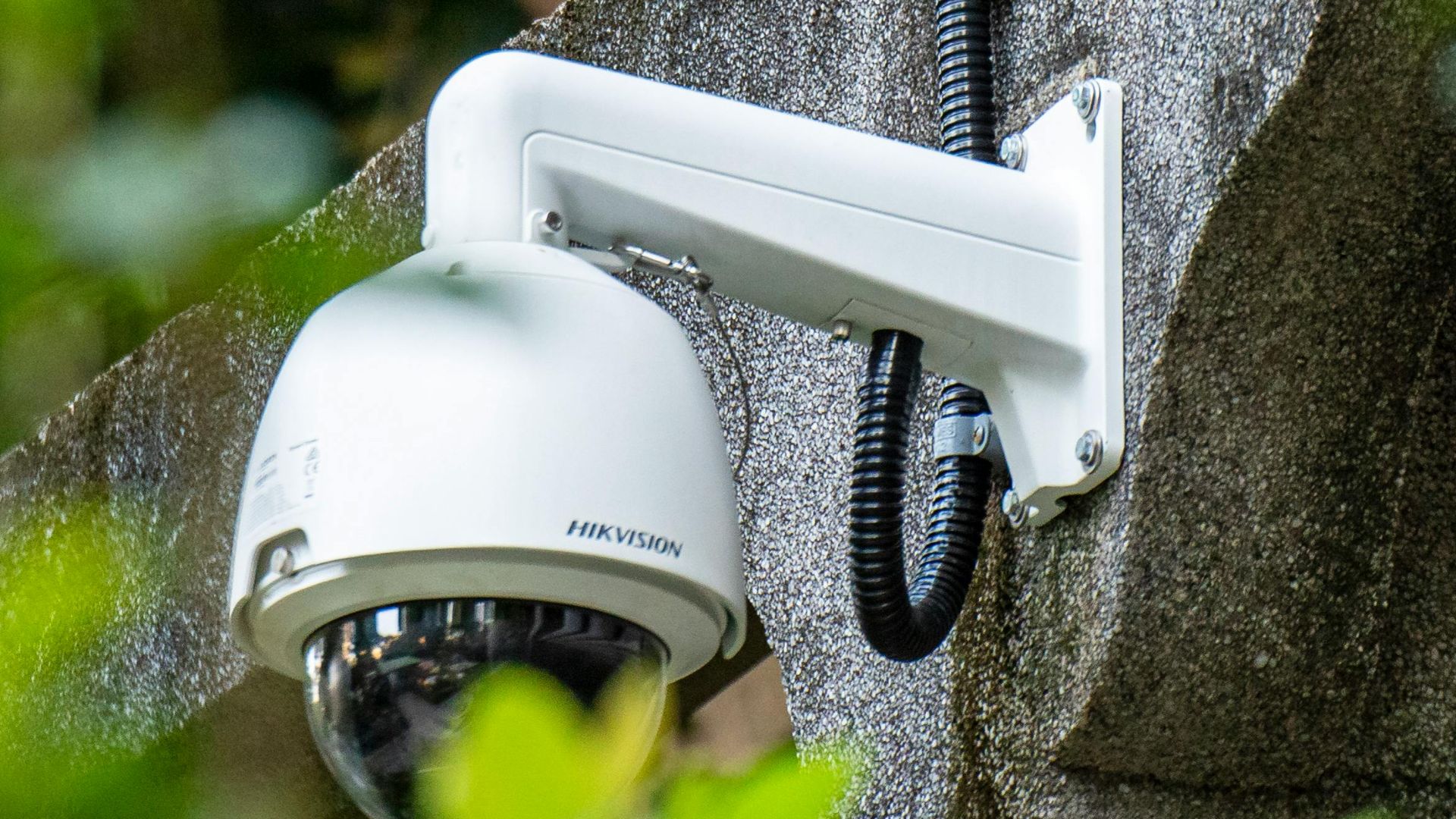 A tabby cat perched on a concrete wall beside a dome CCTV camera.