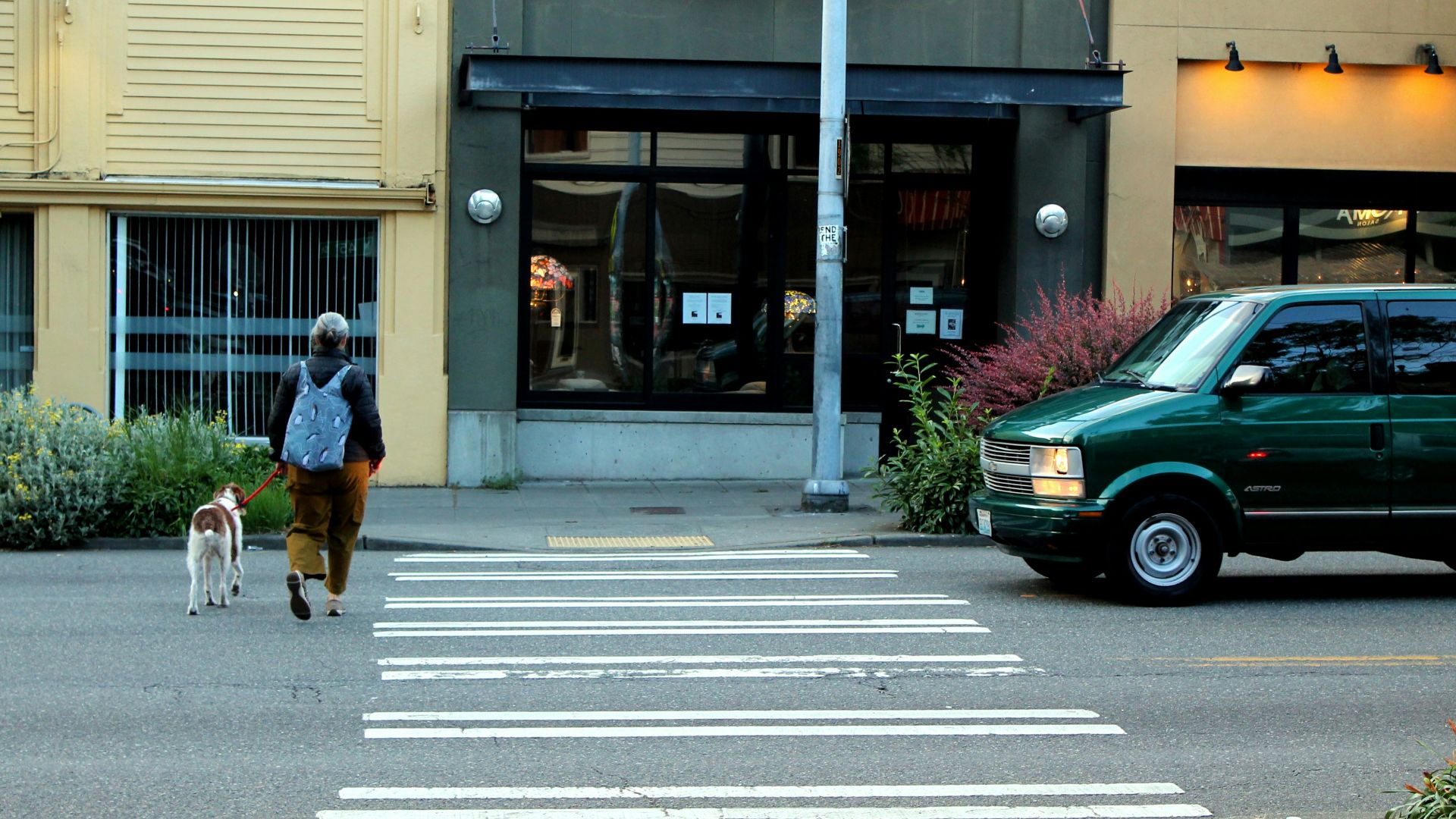 a person walking a dog across a crosswalk