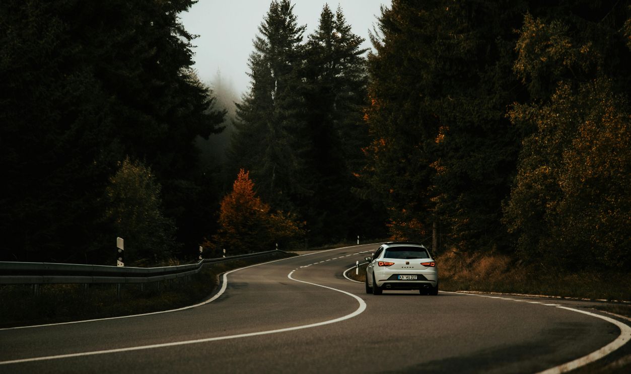 Silver Car Driving on Road through Autumn Forest