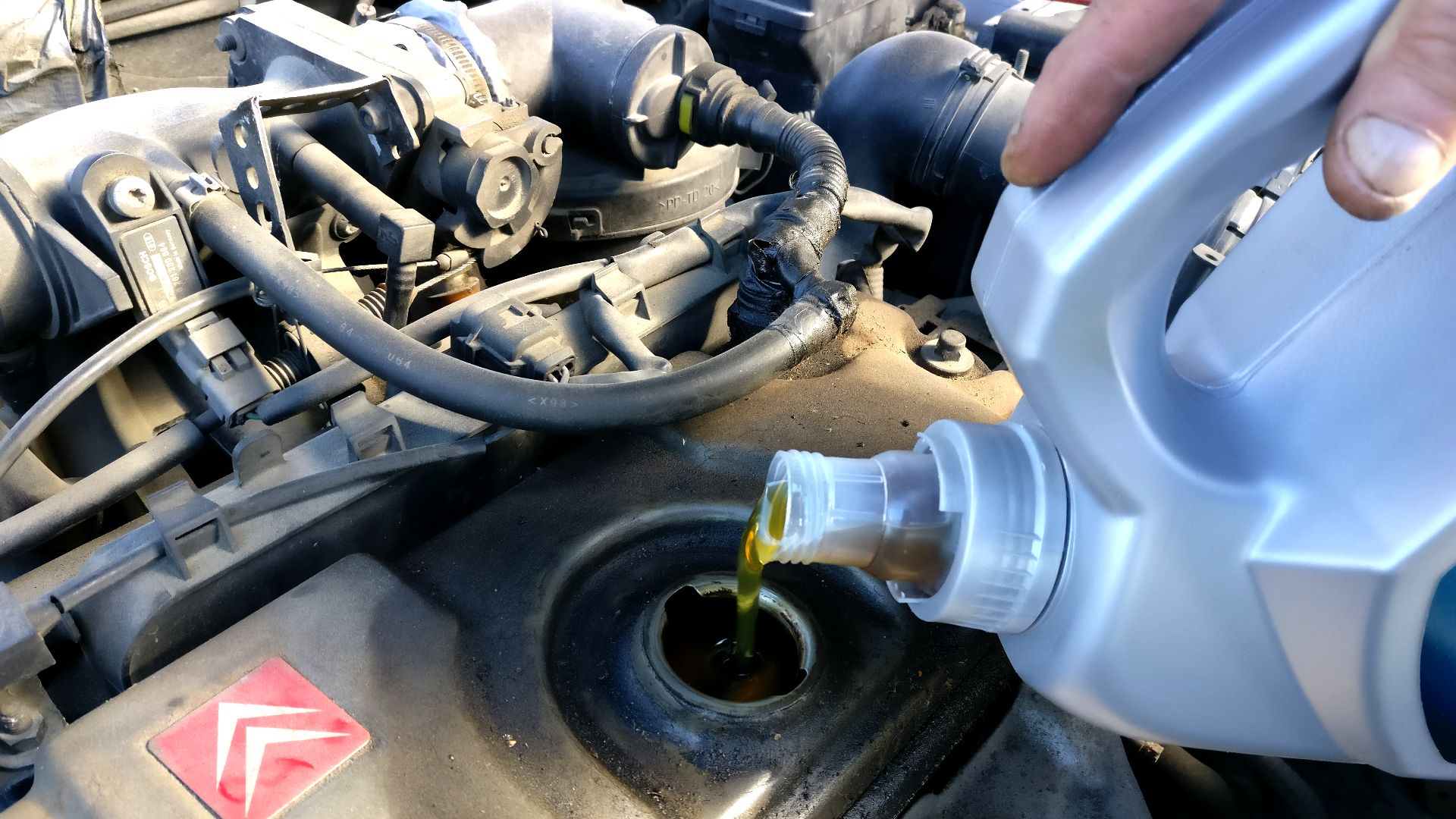 Pouring engine oil to car motor.