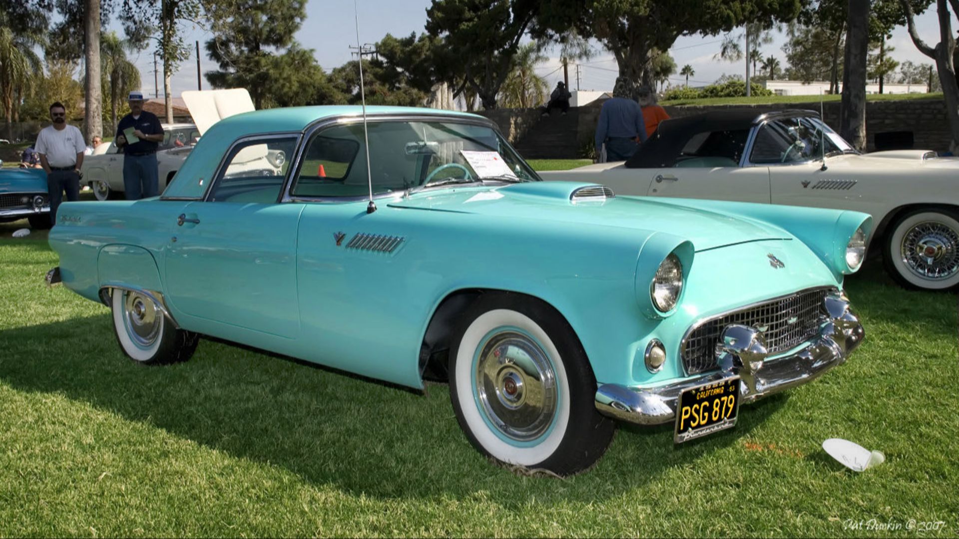 1955 T-Bird, aqua