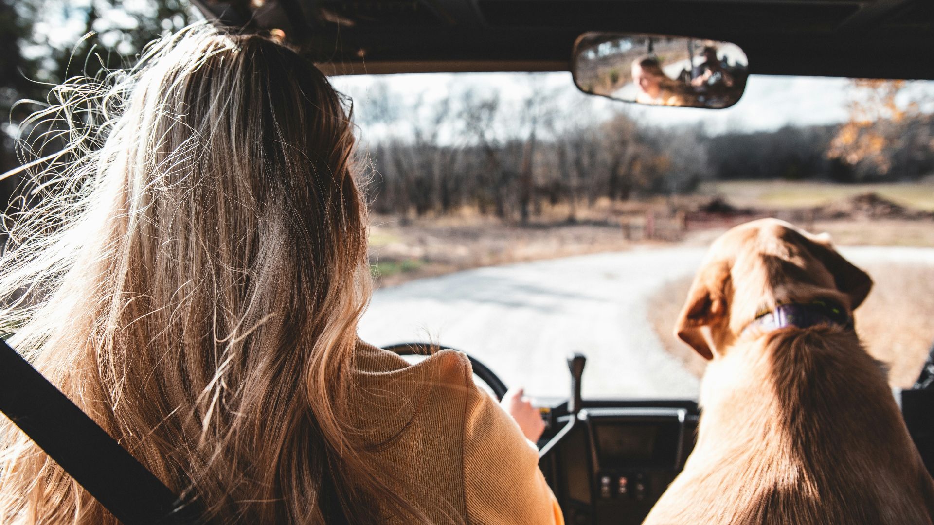 woman in brown long sleeve shirt sitting on car seat beside brown short coated dog during