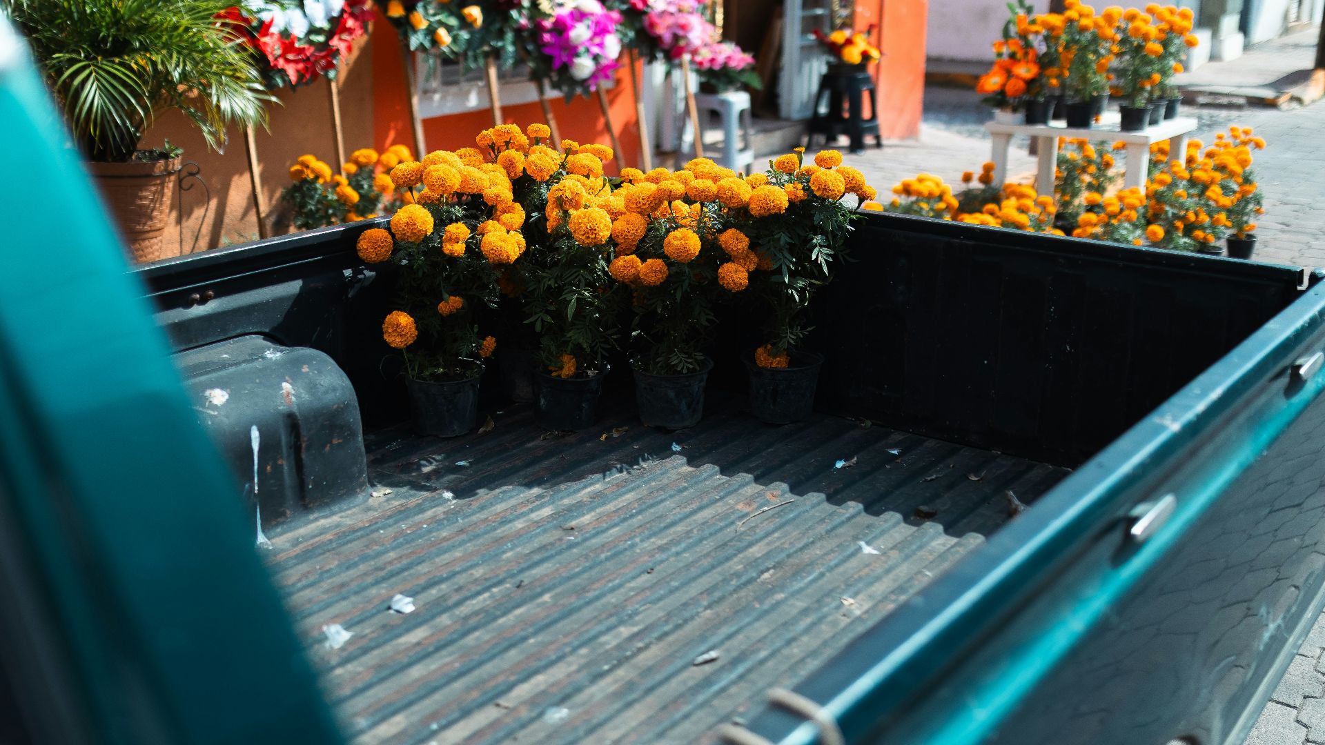 Truck bed filled with marigolds and floral arrangements