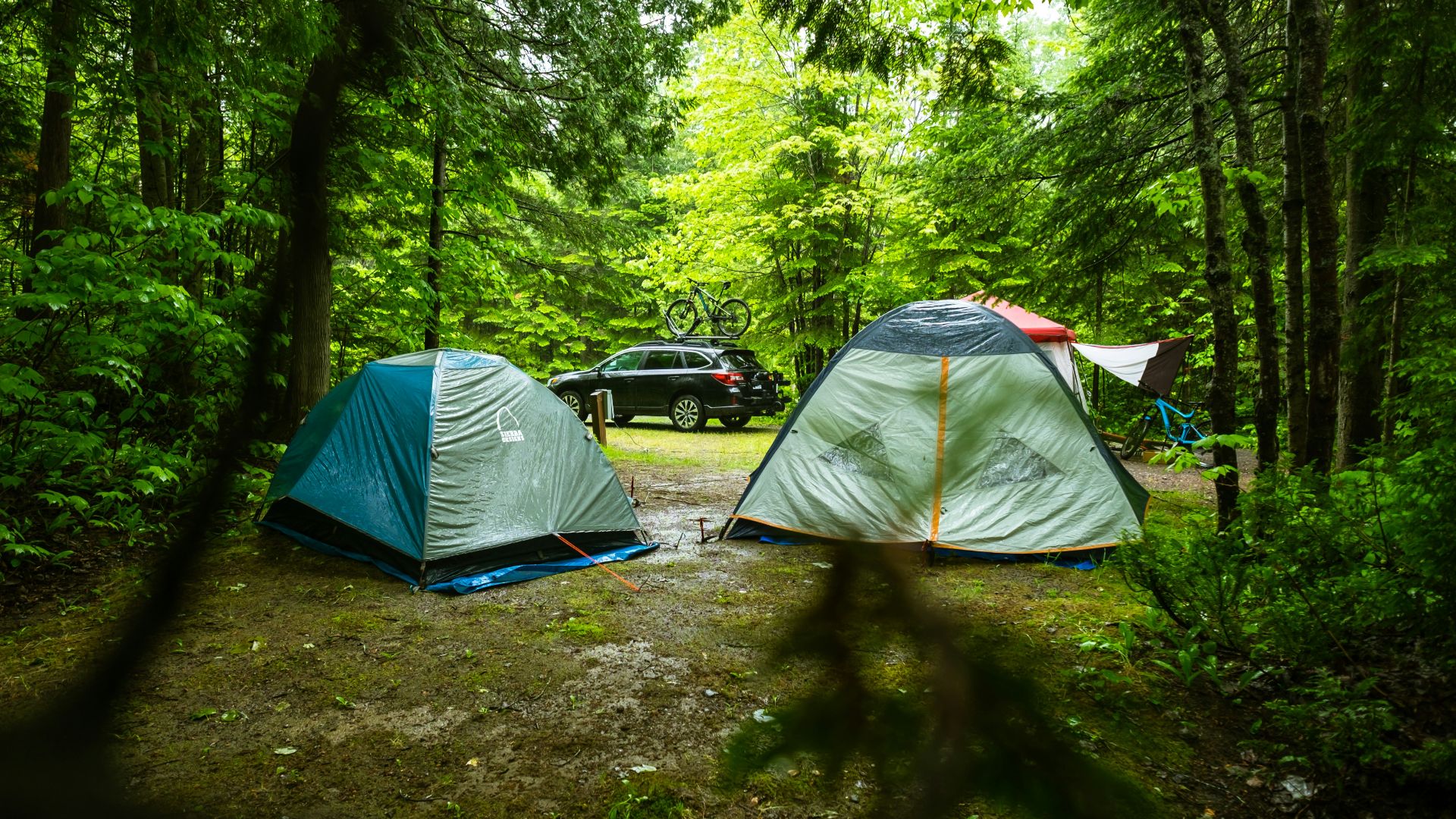 two dome tents surrounded by trees