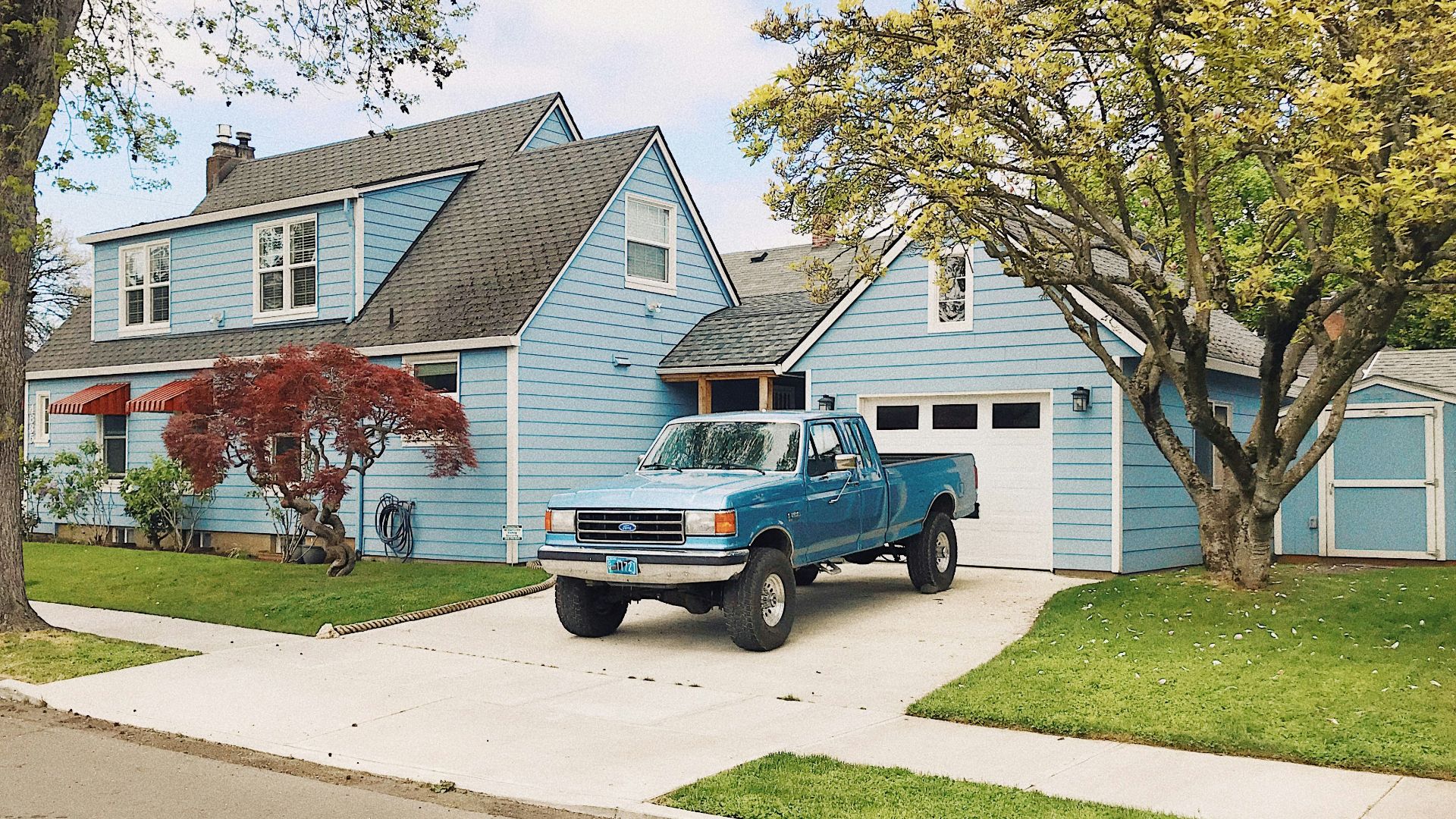 blue and white single cab pickup truck parked near green tree during daytime