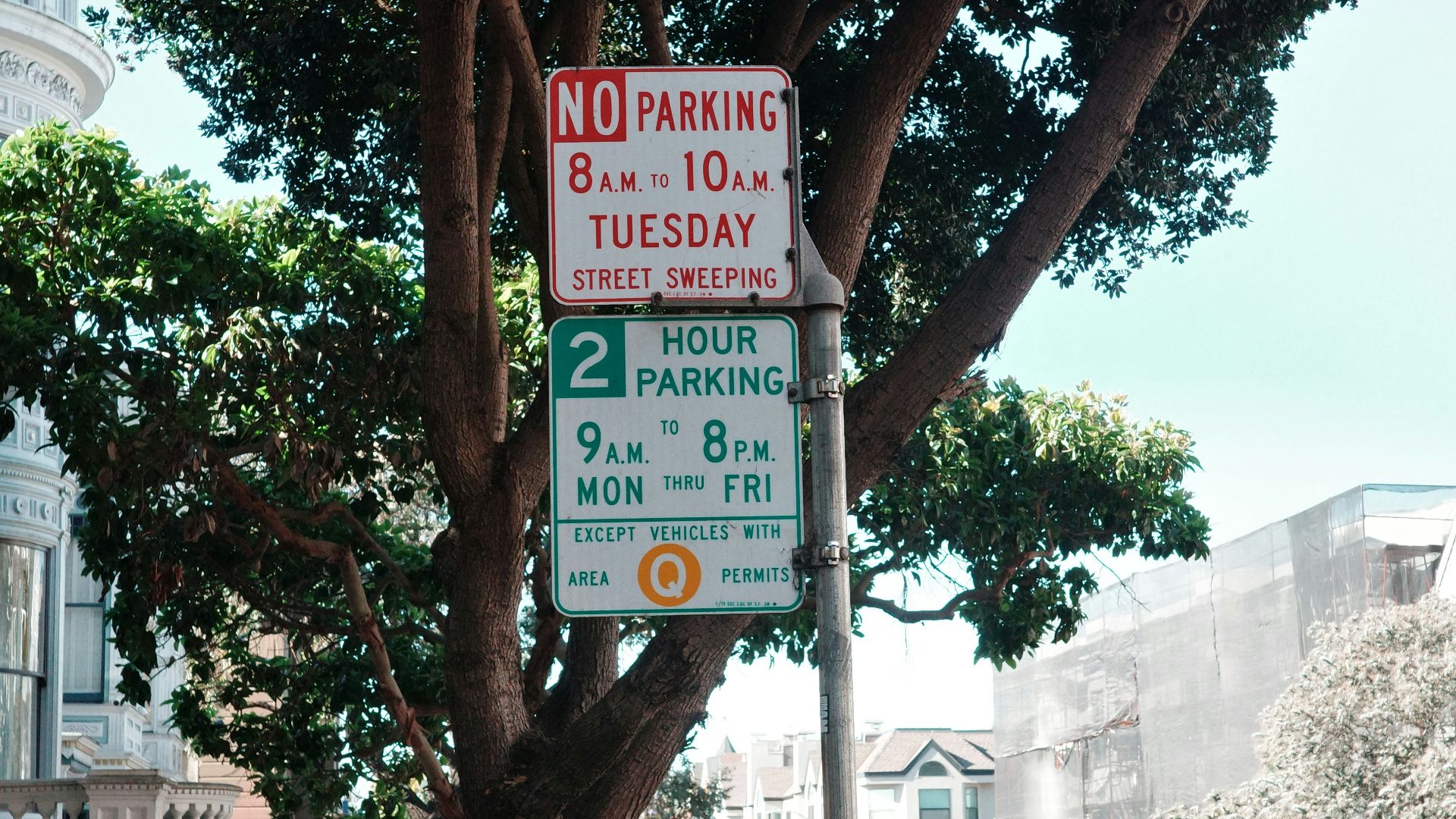 Street signs on a tree with parked cars