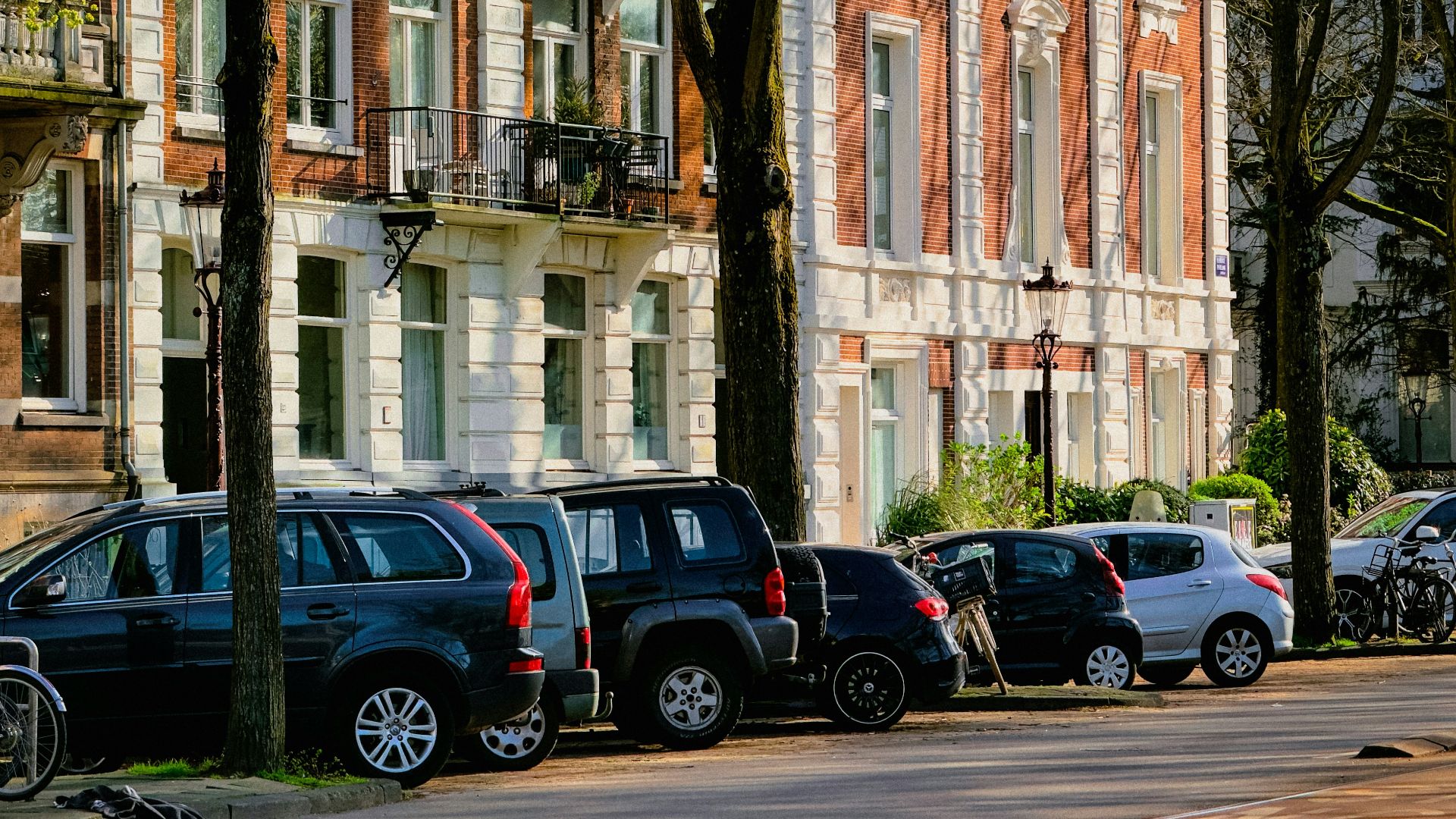 Cars parked on a tree-lined city street