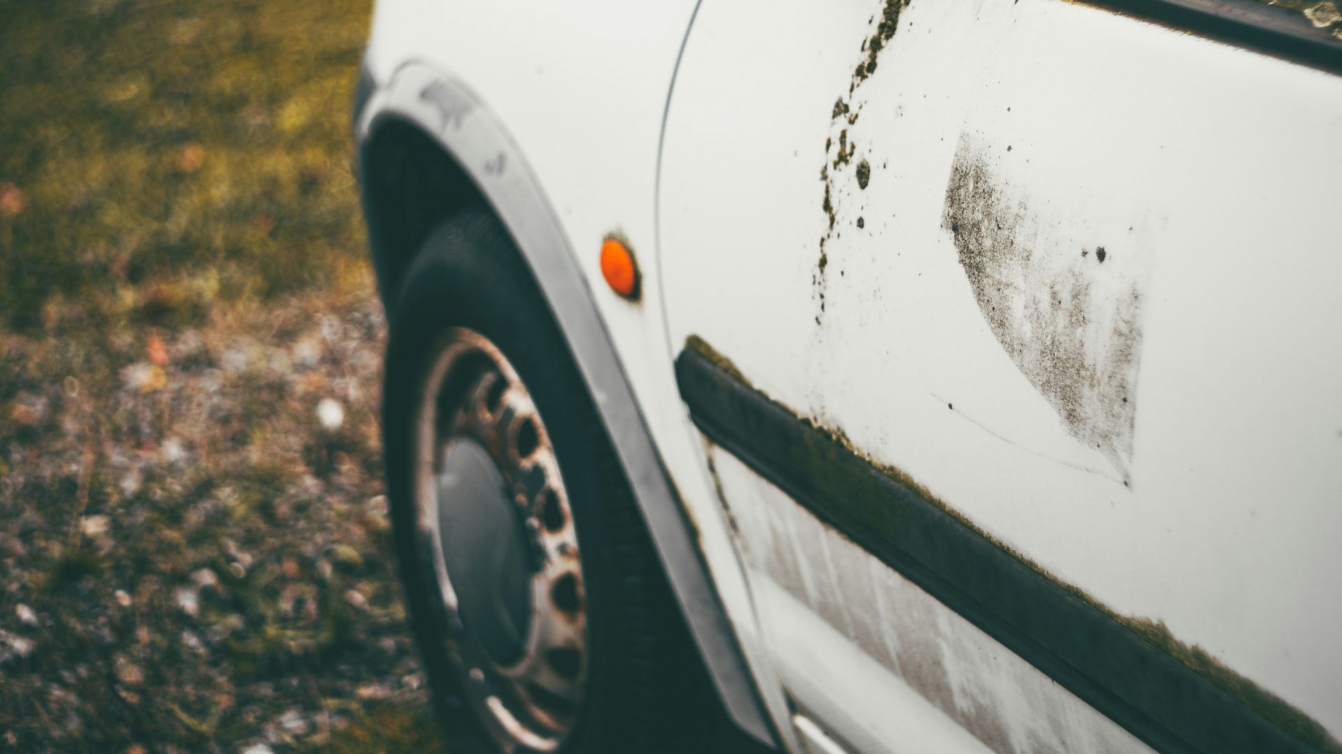 a white car parked on top of a grass covered field
