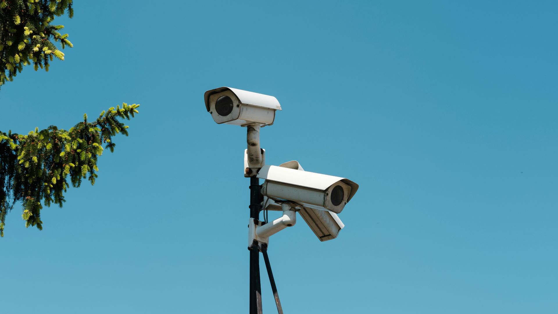 white and black camera on tripod