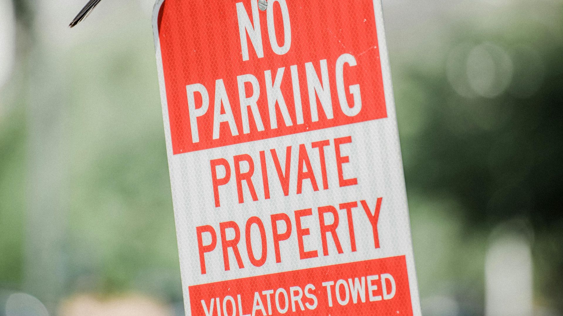 A bird sits atop a no parking sign in an urban area, symbolizing contrast of nature and city life.
