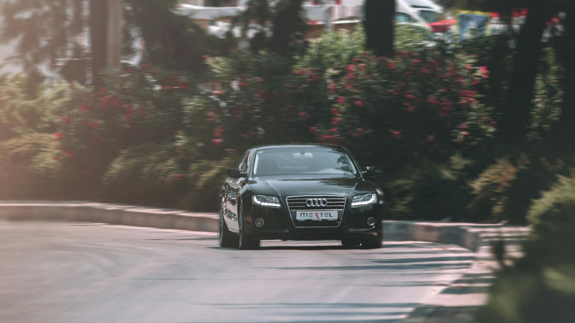 A sleek luxury car swiftly navigates a scenic forest road in Izmir, Turkey.