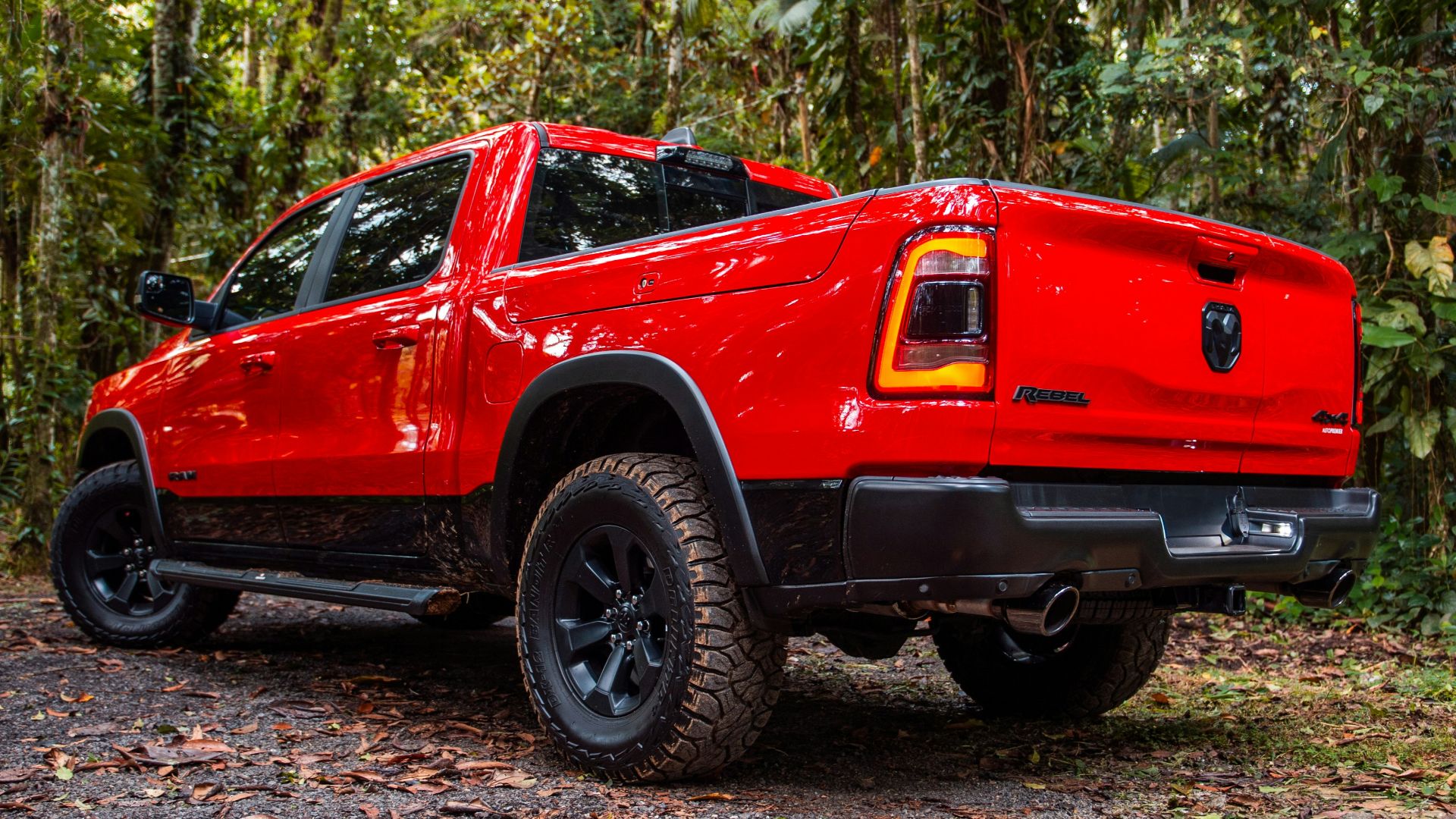 A red truck parks amidst a lush forest.