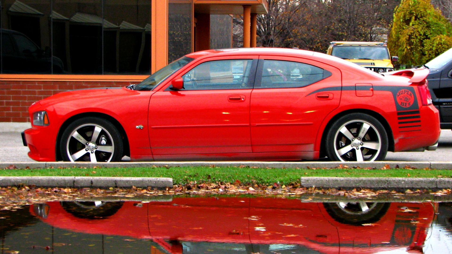 One of the Last shots taken with my S5 IS