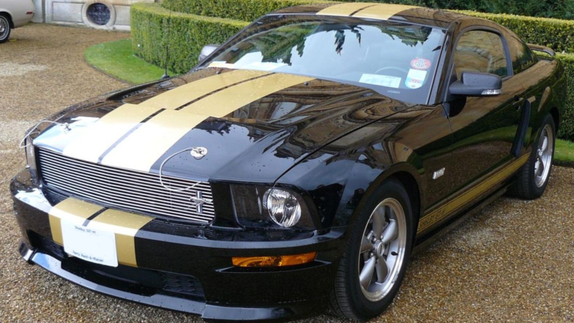 Picture of the 2006 Shelby GT-H