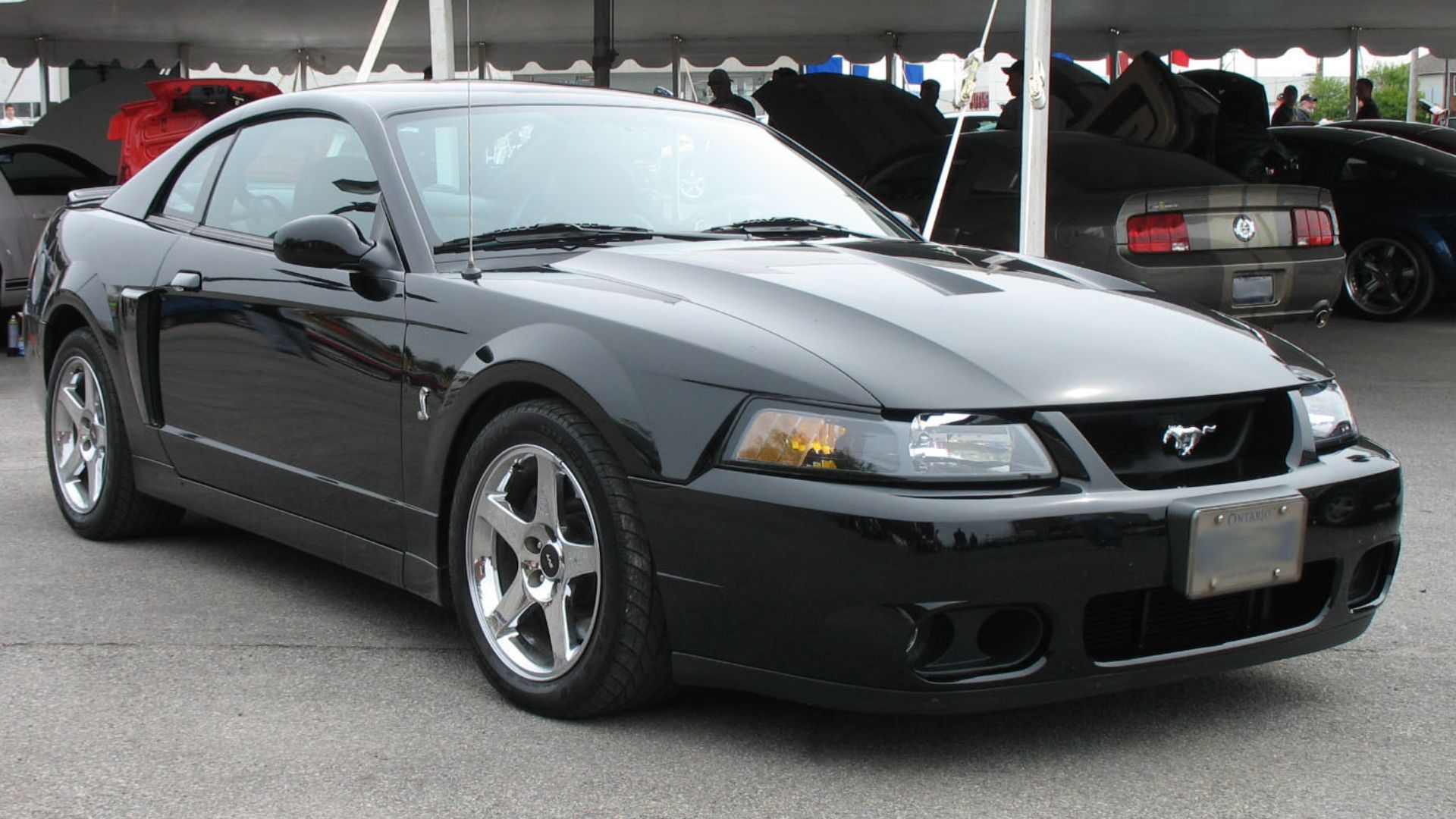 2003-2004 Ford Mustang Cobra