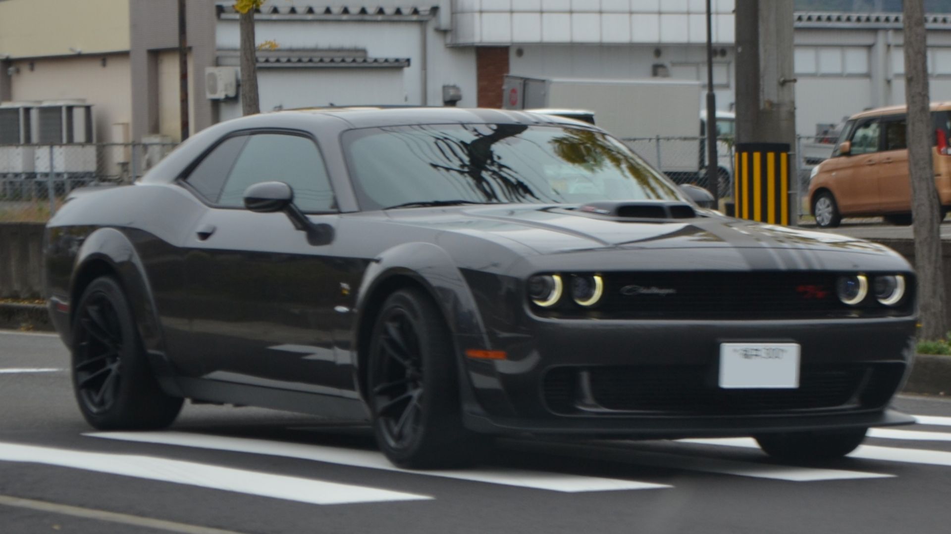 c/n unknown. This is 2-door notchback coupe, R/T Scat Pack Widebody Shaker Package(later) version. Running at Fukui Prefectural Road No.39, Higashi Sabae, Sabae, Fukui. 4th November 2023