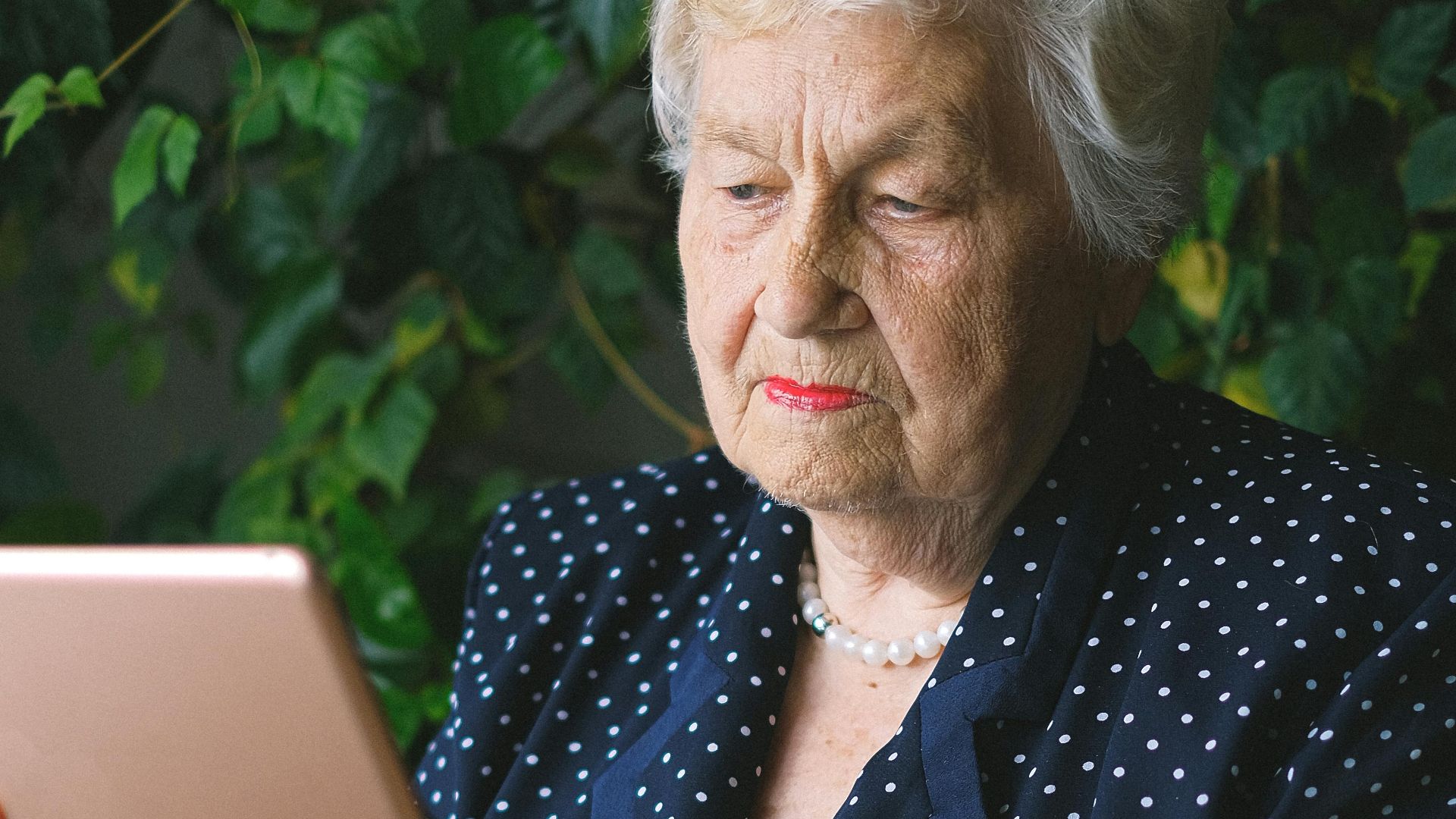 Aged serious female with wrinkles in dress surfing contemporary tablet near plant with green leaves