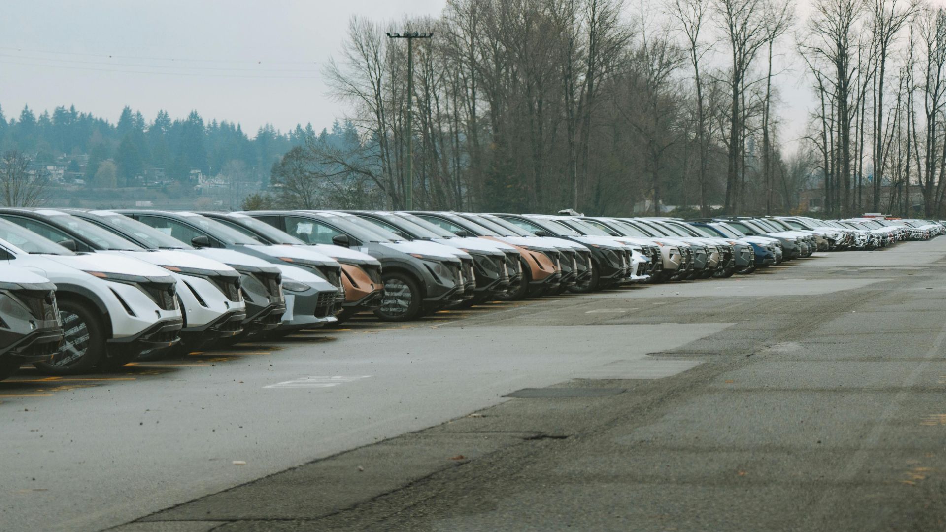 A long row of cars parked outdoors on an overcast day with trees in the background, perfect for automotive themes.