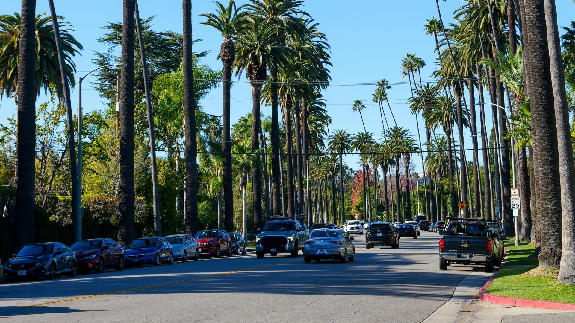 Sunny view of palm trees lining a street in Beverly Hills, California.