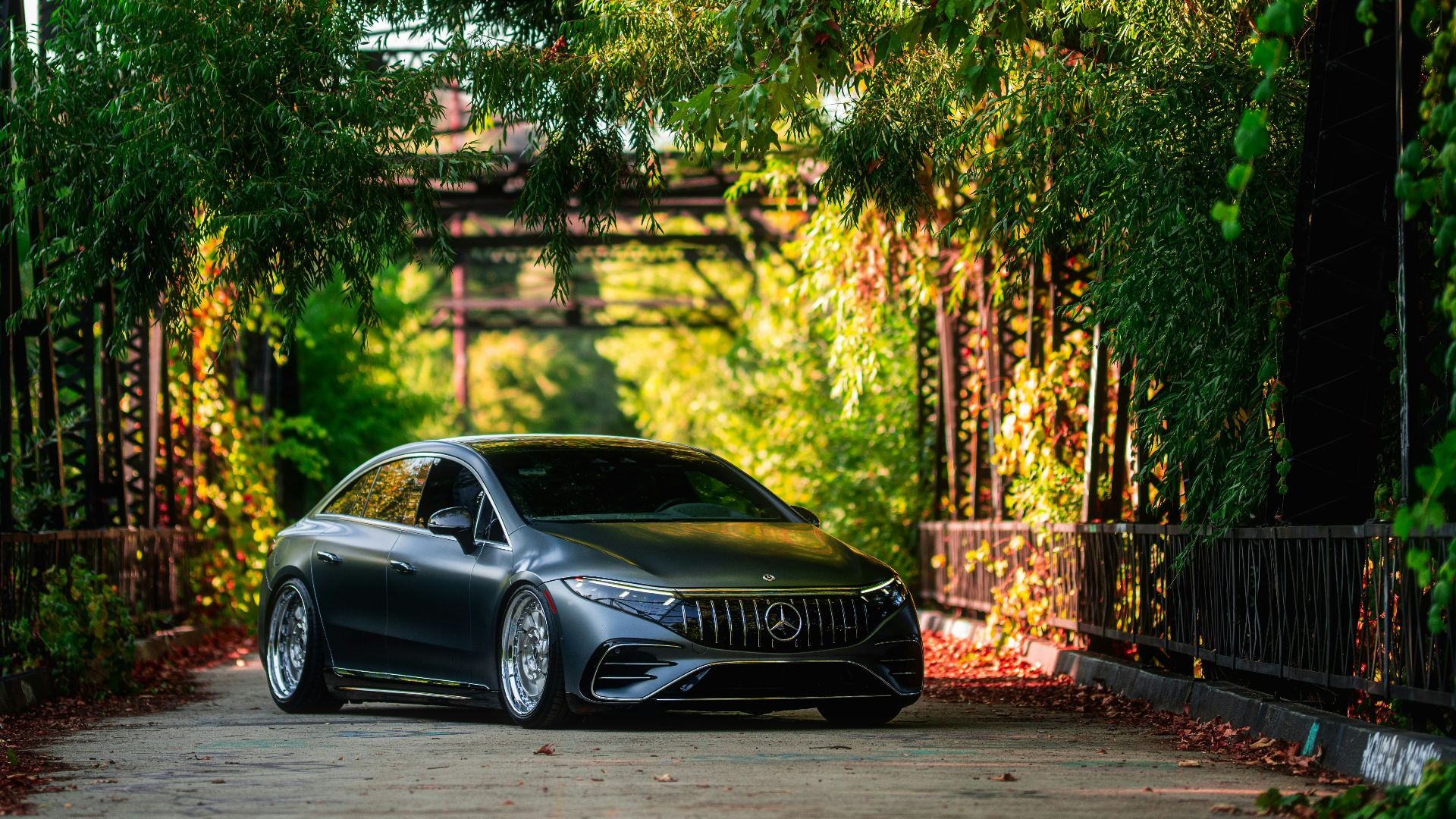 A dark car drives under a bridge covered in vines.