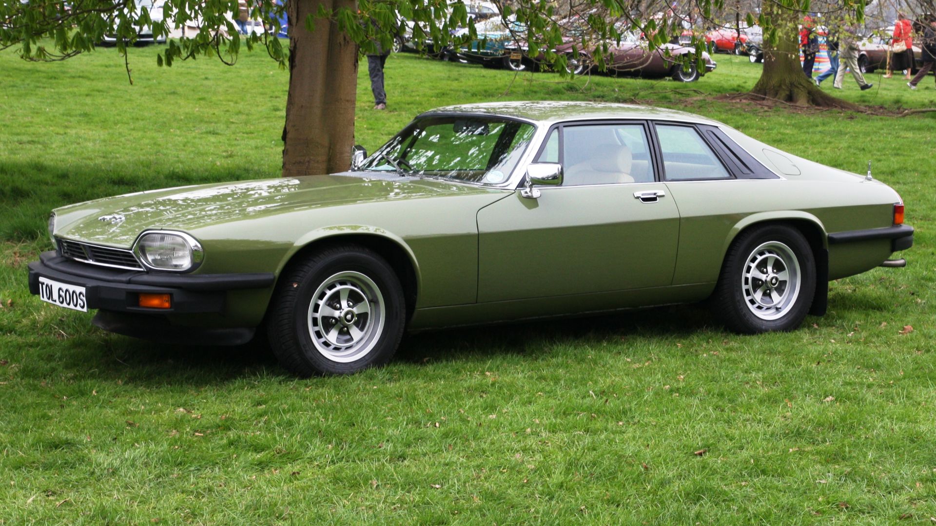 Jaguar XJ-S (1978) at Weston Park
The absence of a chrome insert on the upper part of the front bumper indicates that this model was produced before July 1981, which was the month of the model's first (not very extensive) facelift