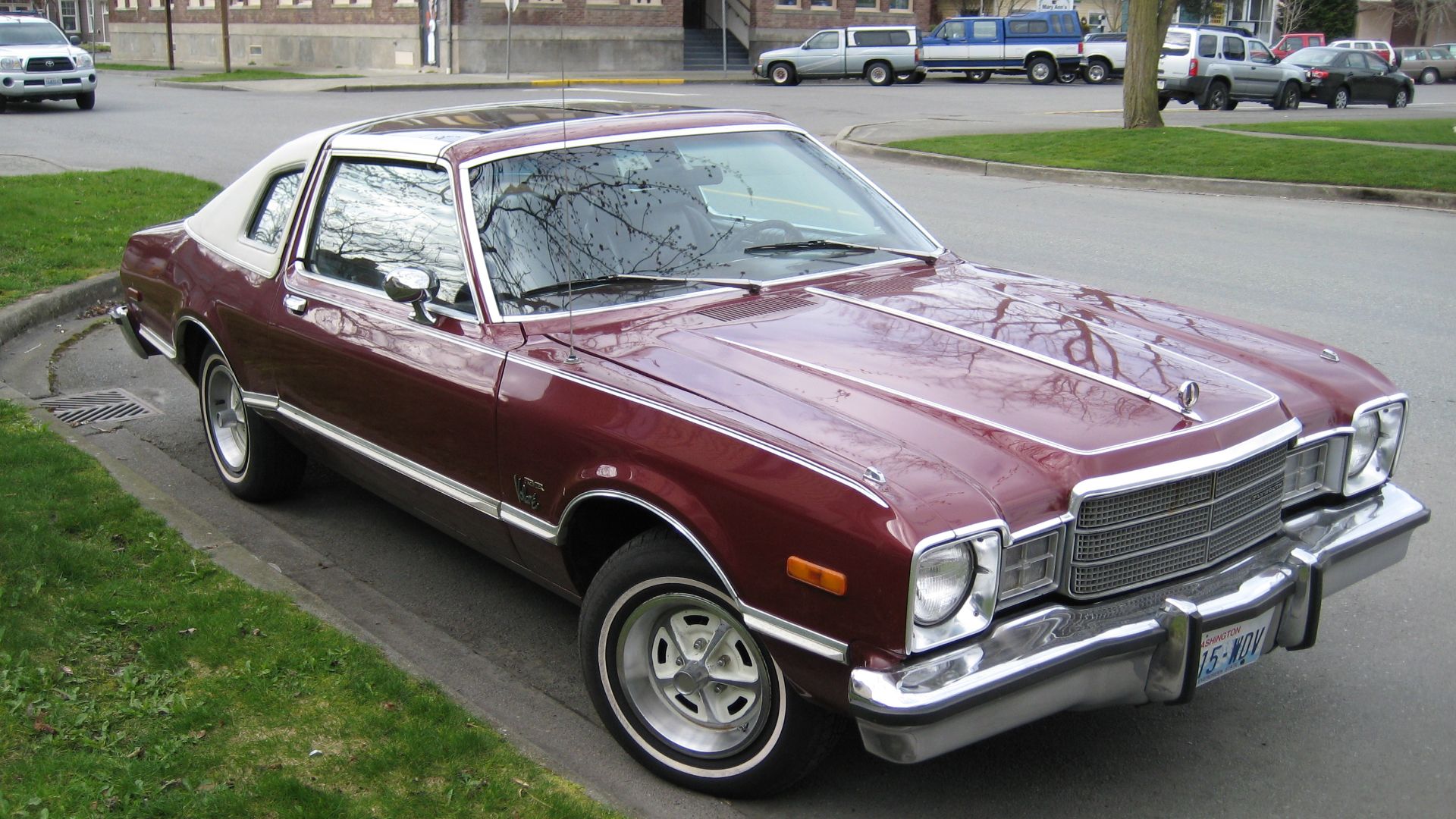 Spotted while on a walk in Anacortes, Washington.