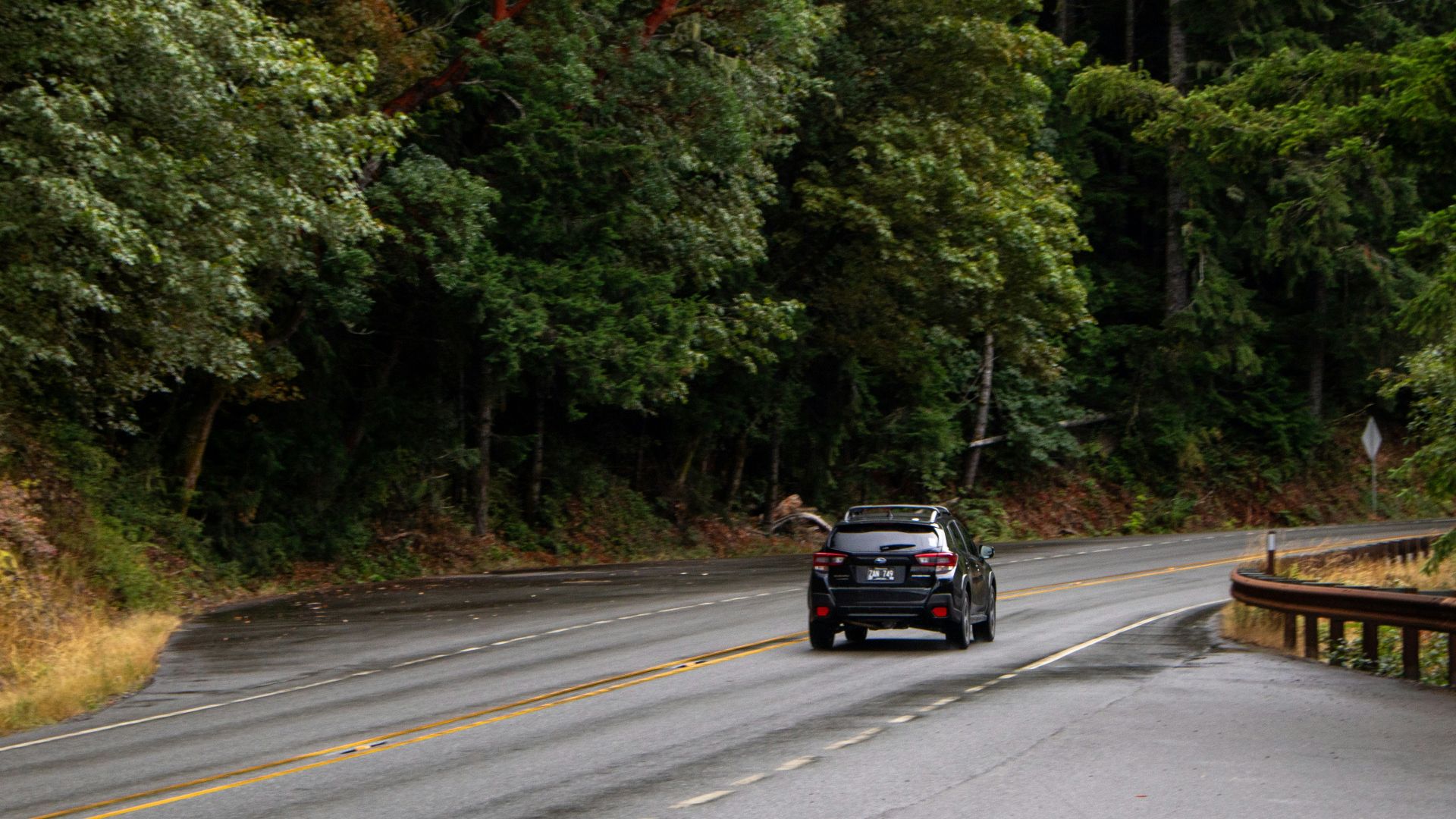 A car driving down a road next to a forest